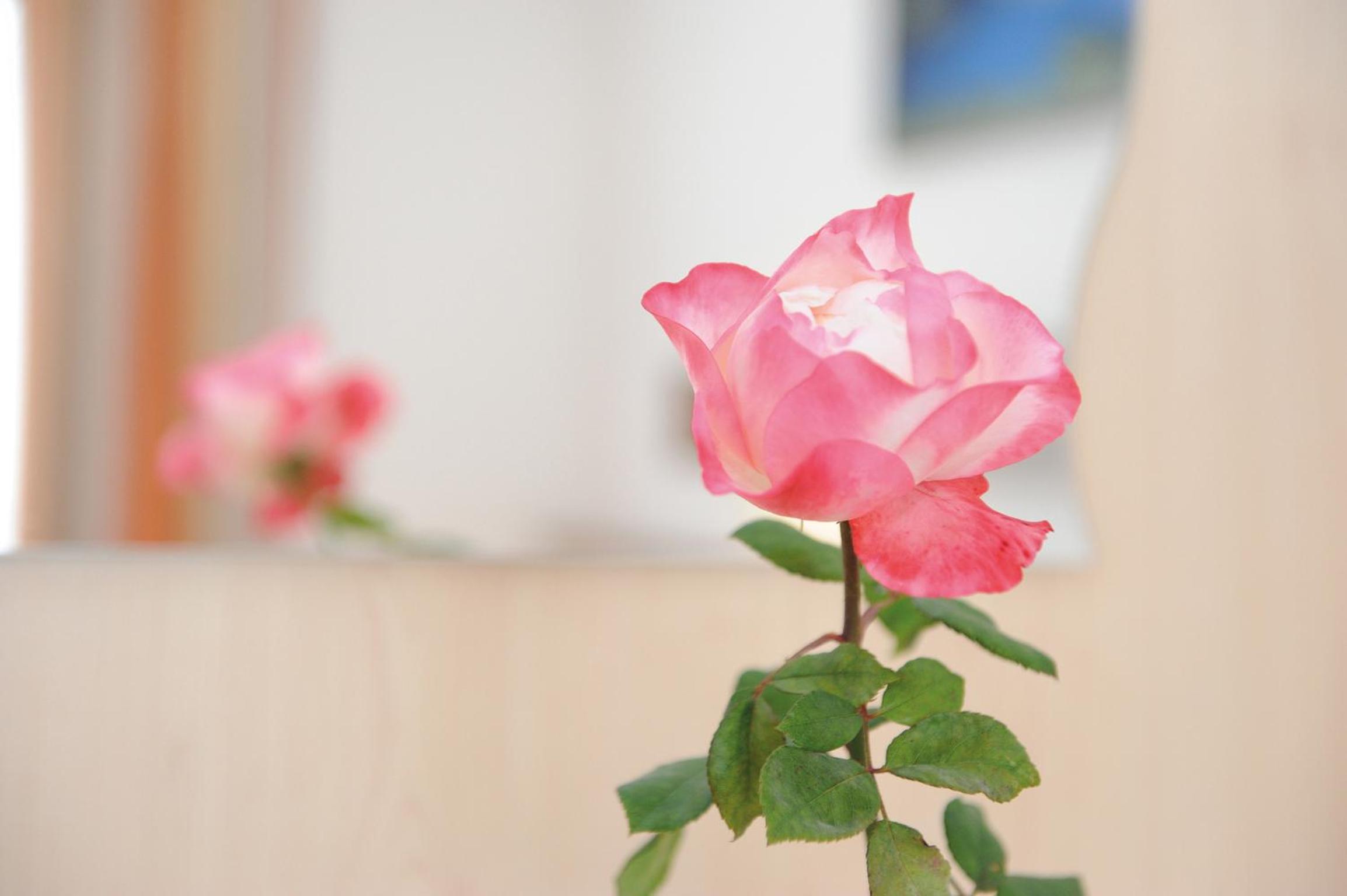 Hotel-Garni Seestrand