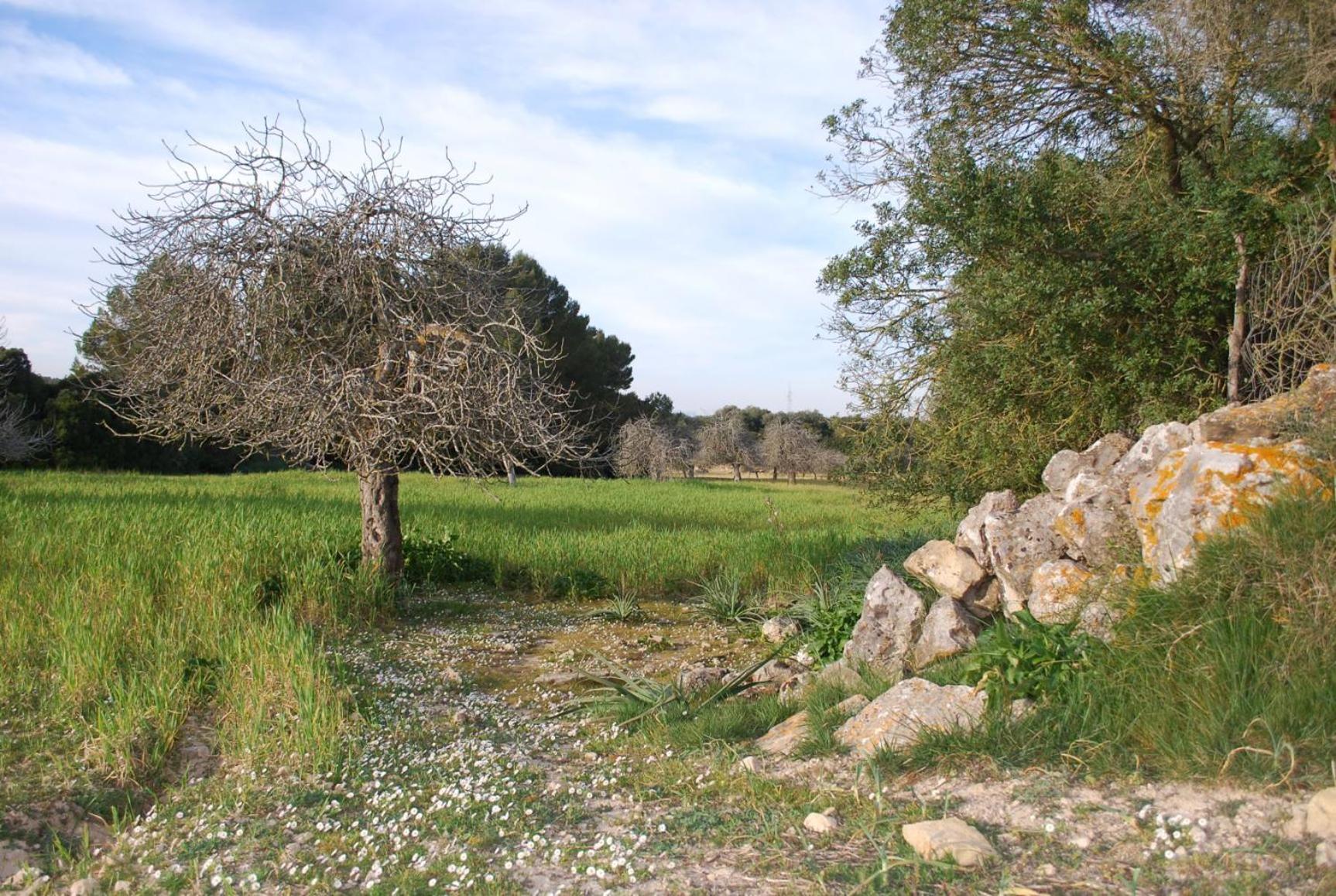 Agroturismo Son Sant Andreu