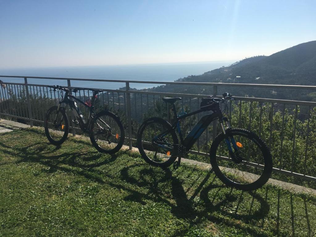AnteMARE view 4