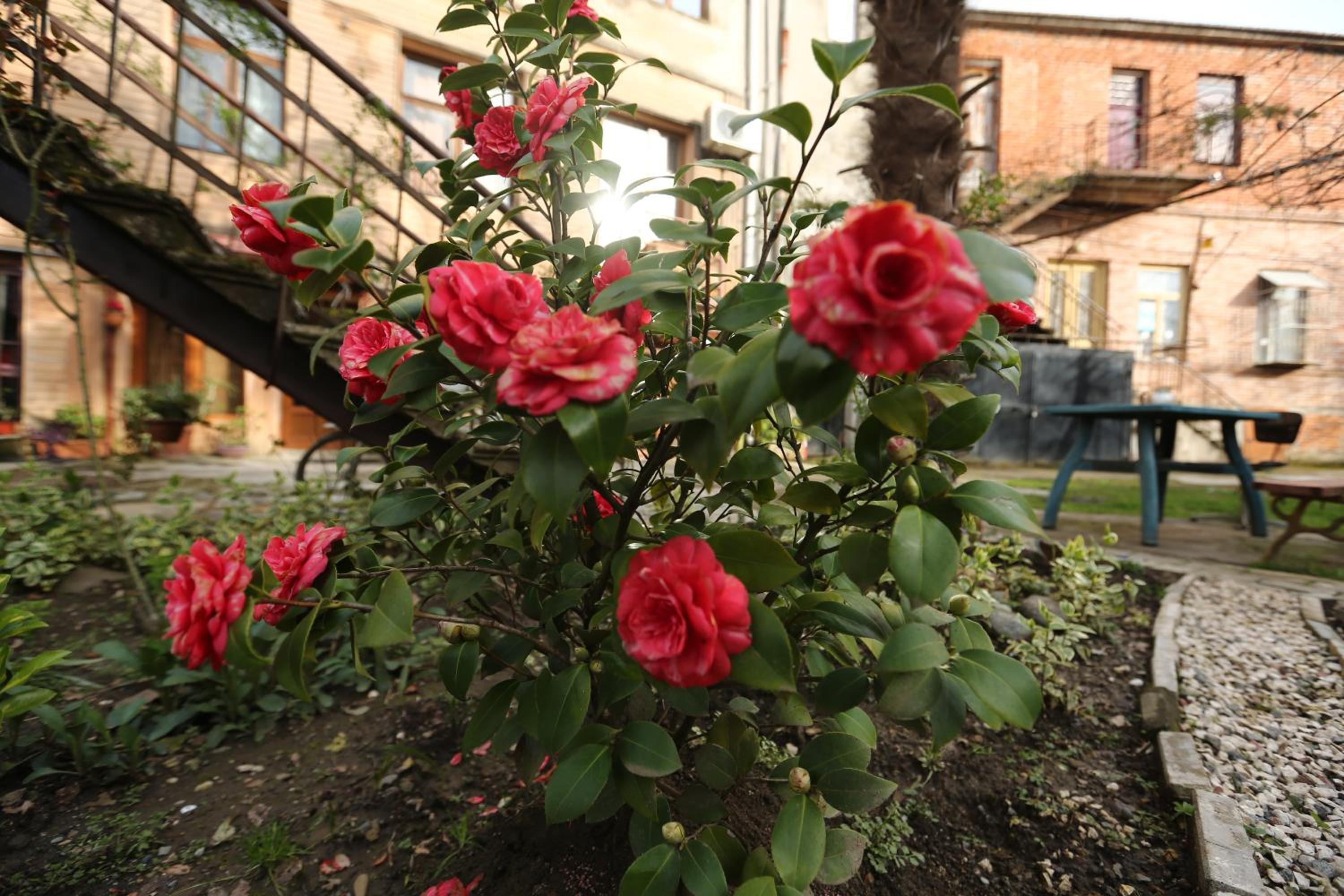 Photo 13
