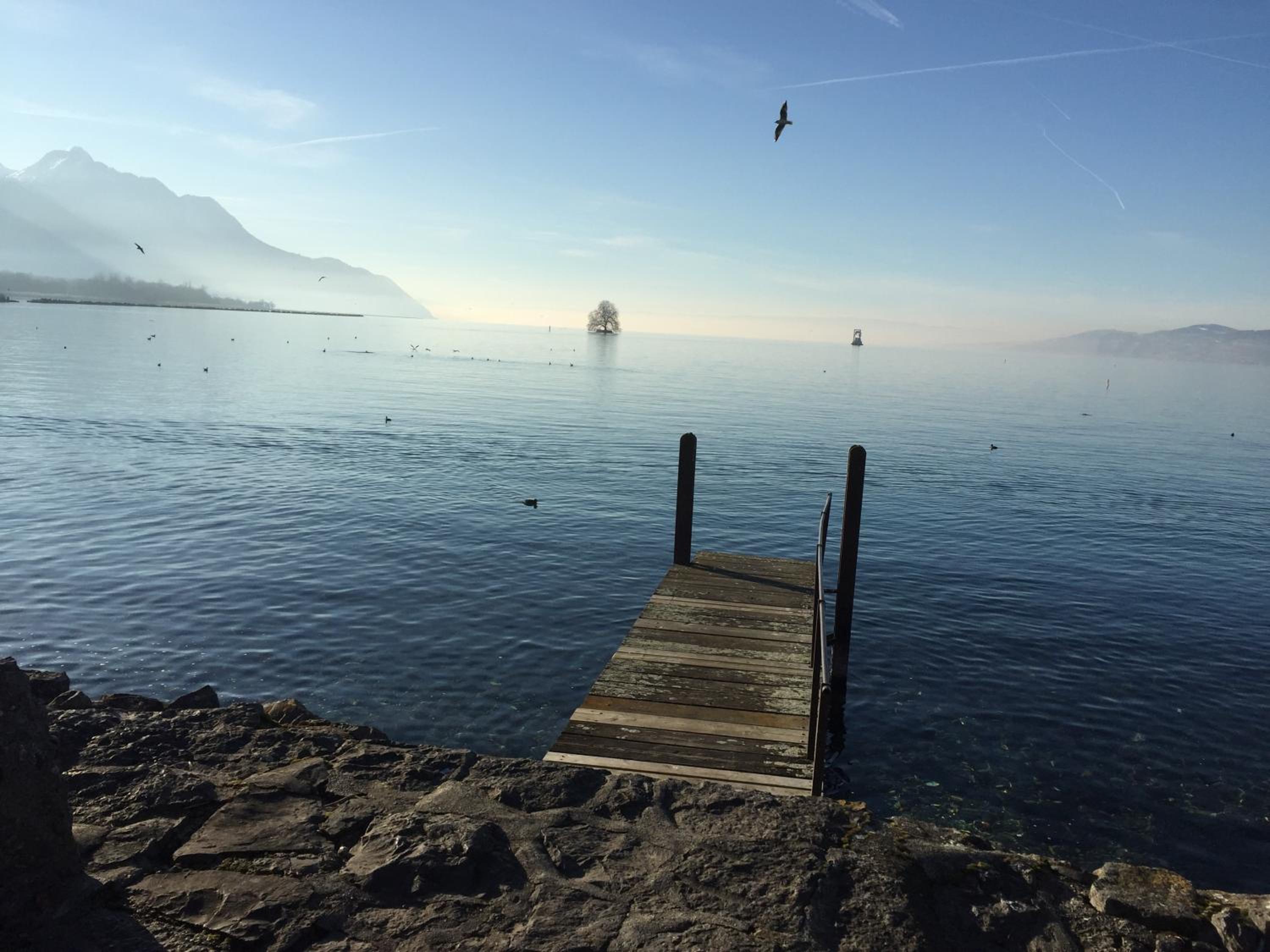 Magie Du Léman