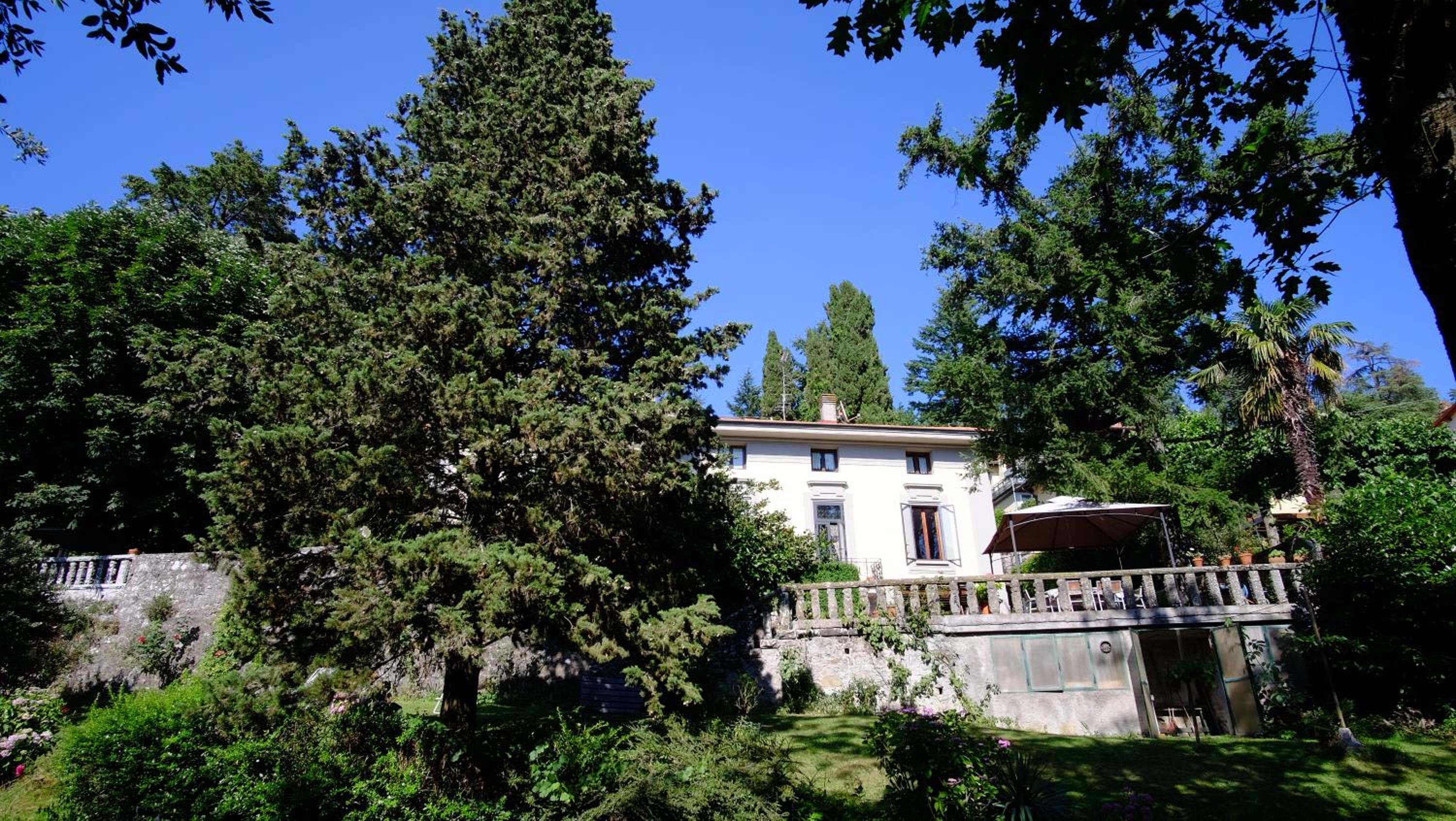 Photo 11
