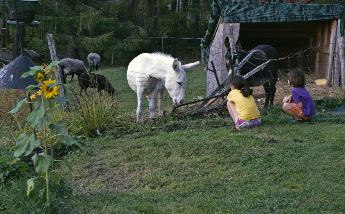 Photo 50
