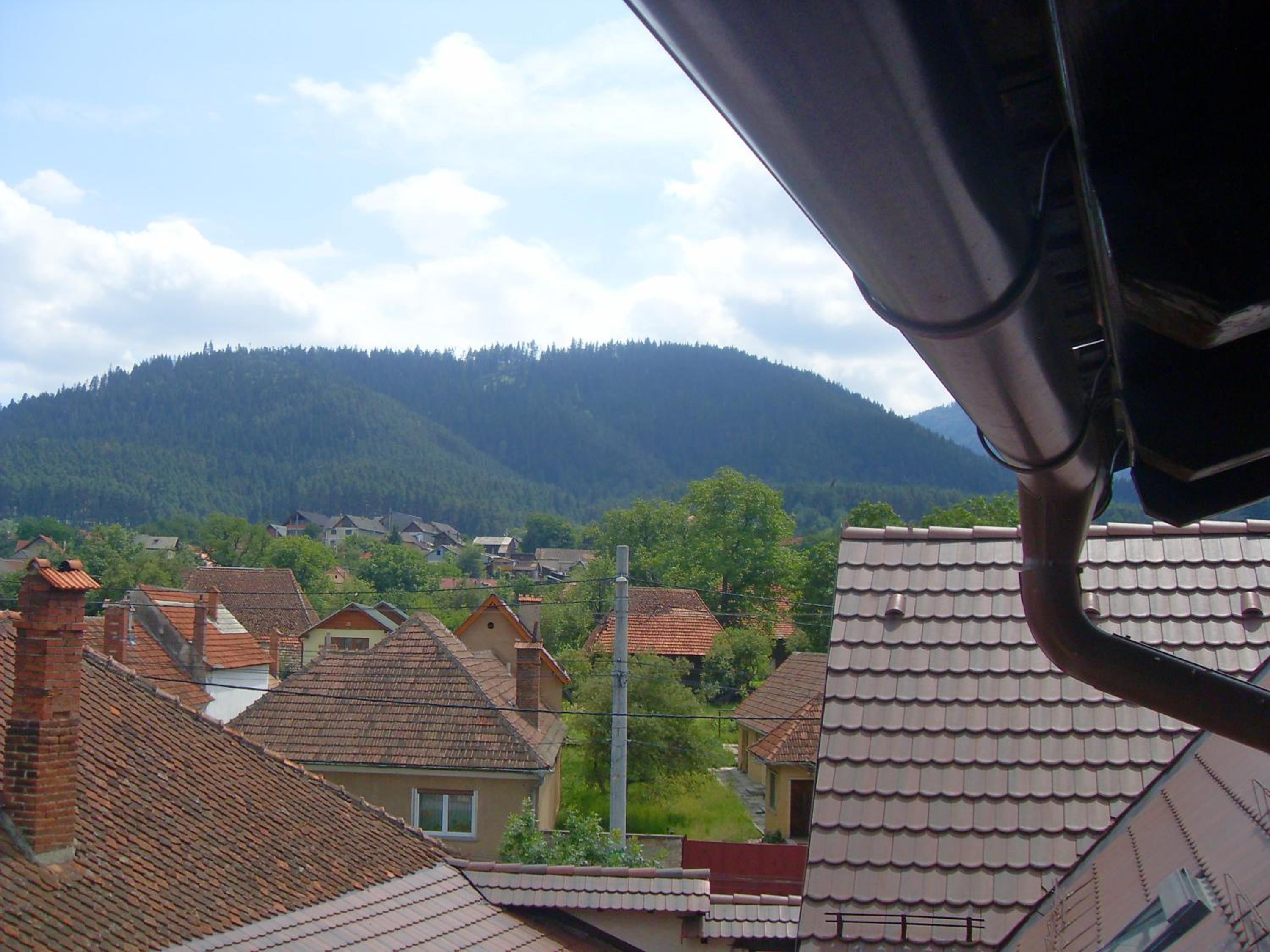 Photo 35