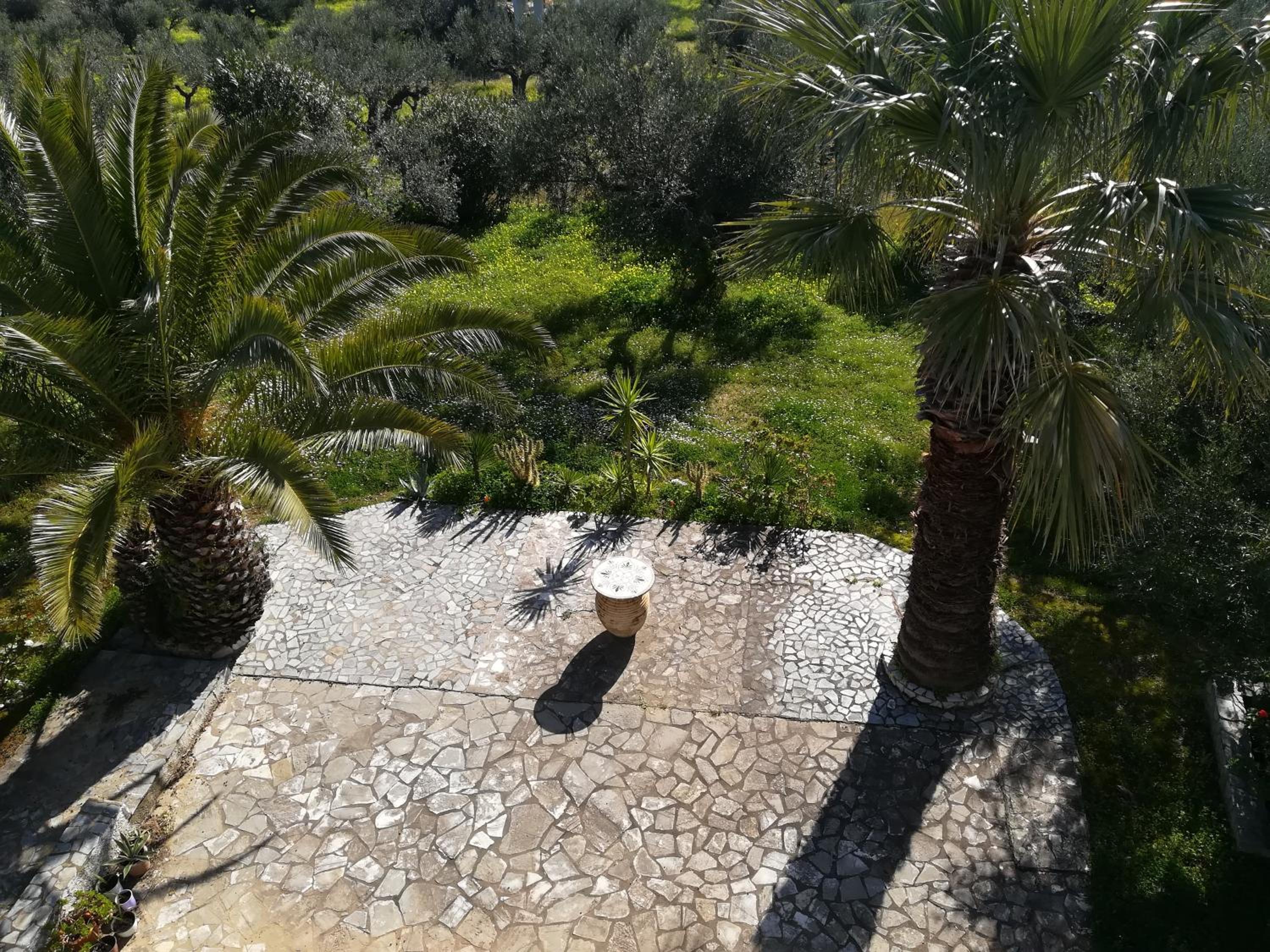 Photo 25
