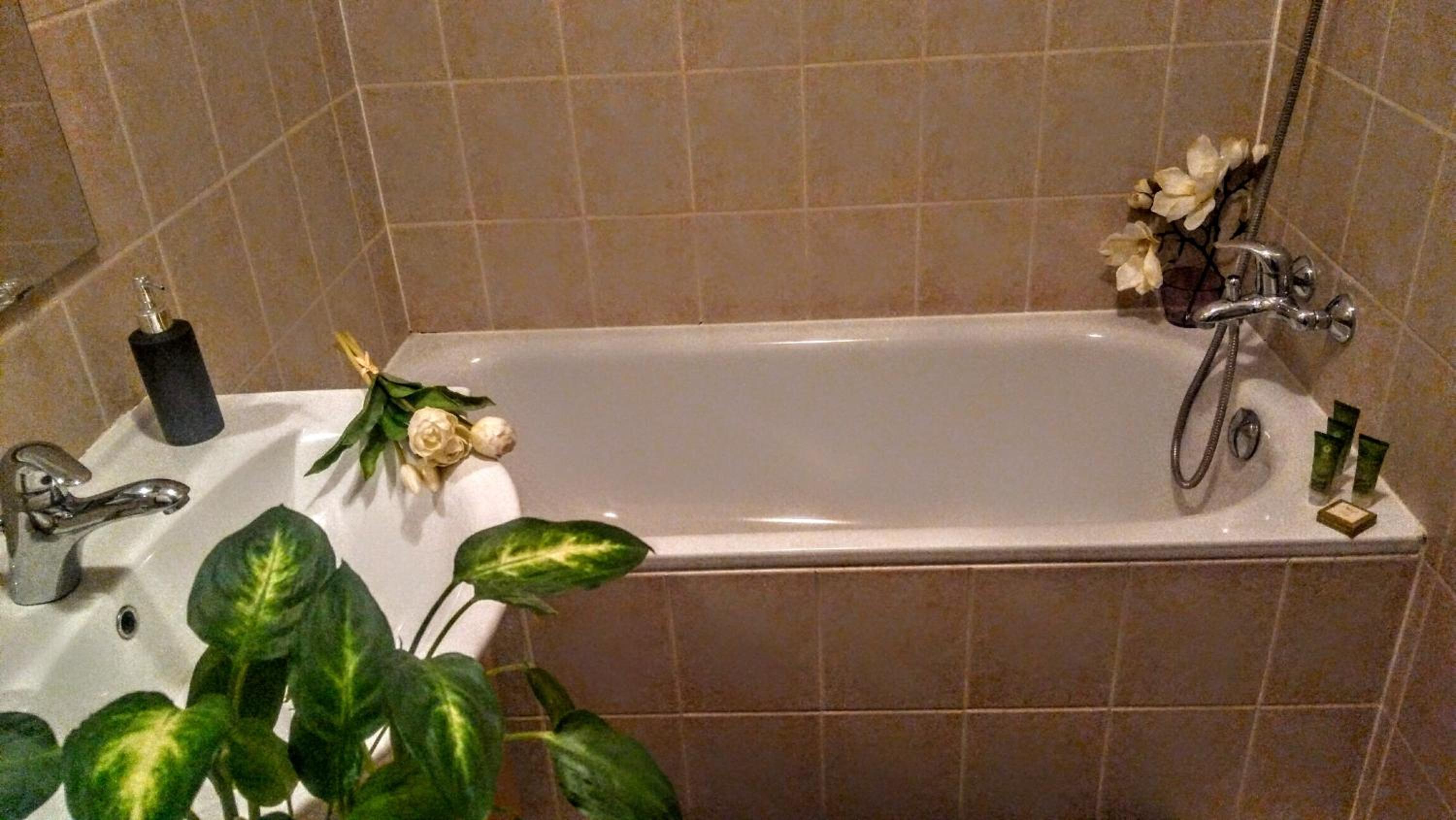 Photo 47