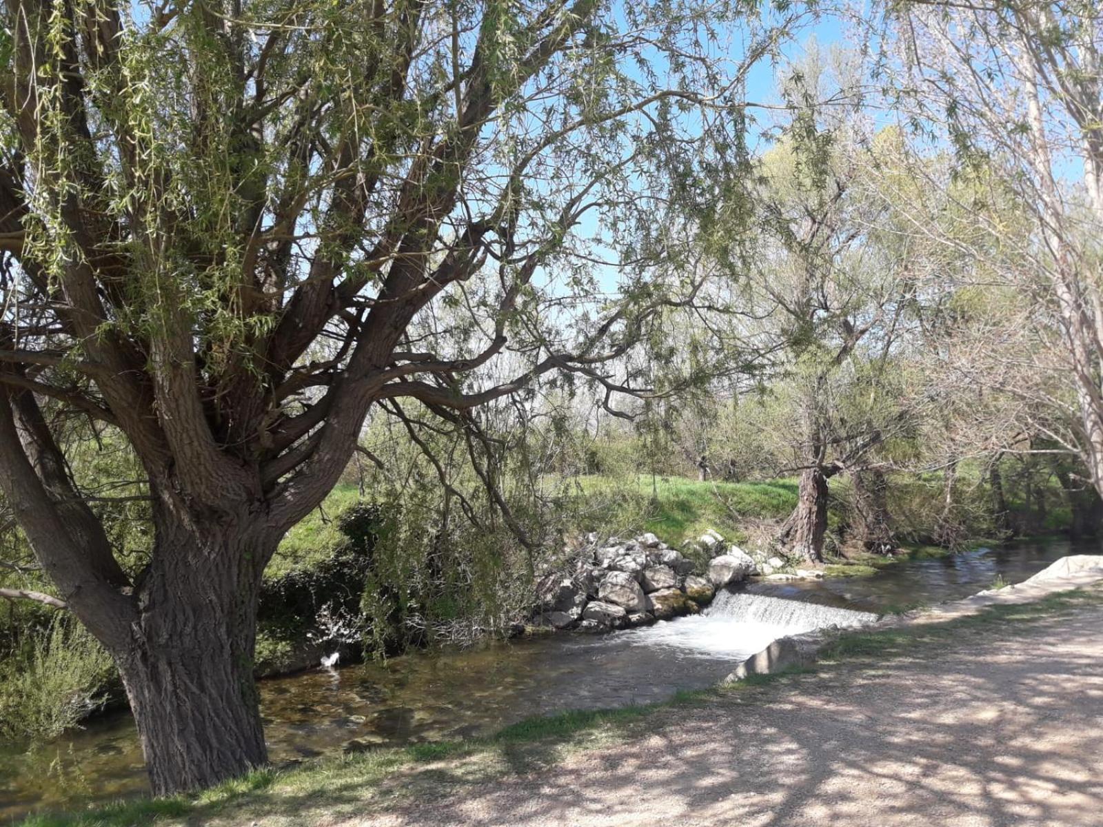 Photo 27