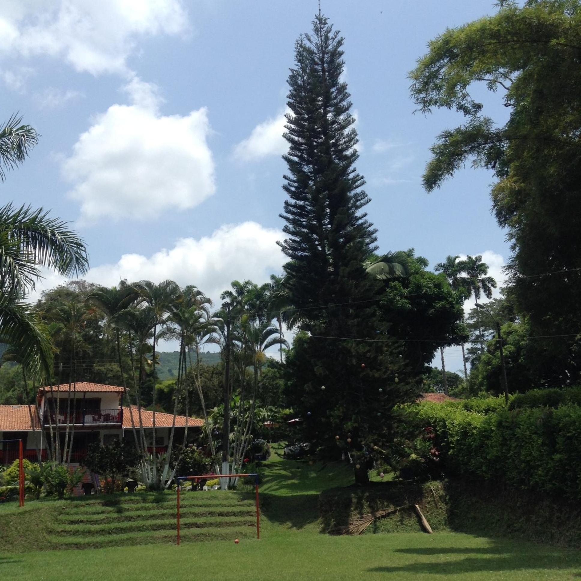 Finca El Sueño De Mi Abuelo