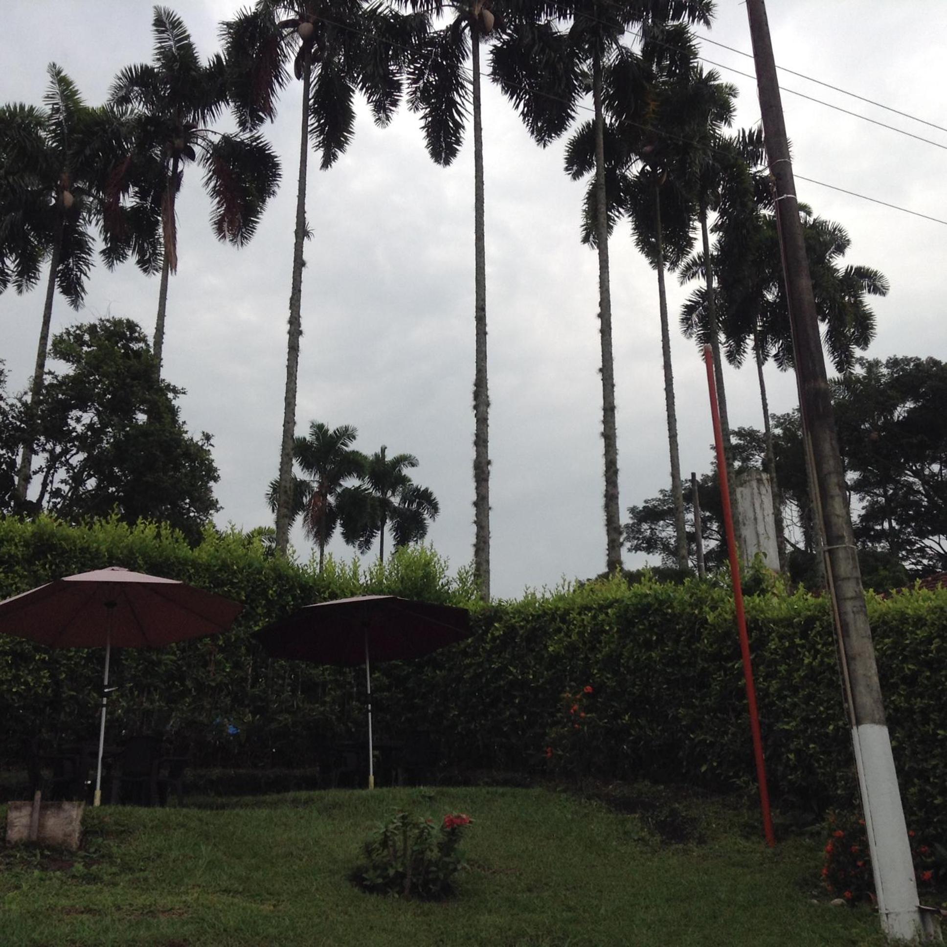 Finca El Sueño De Mi Abuelo