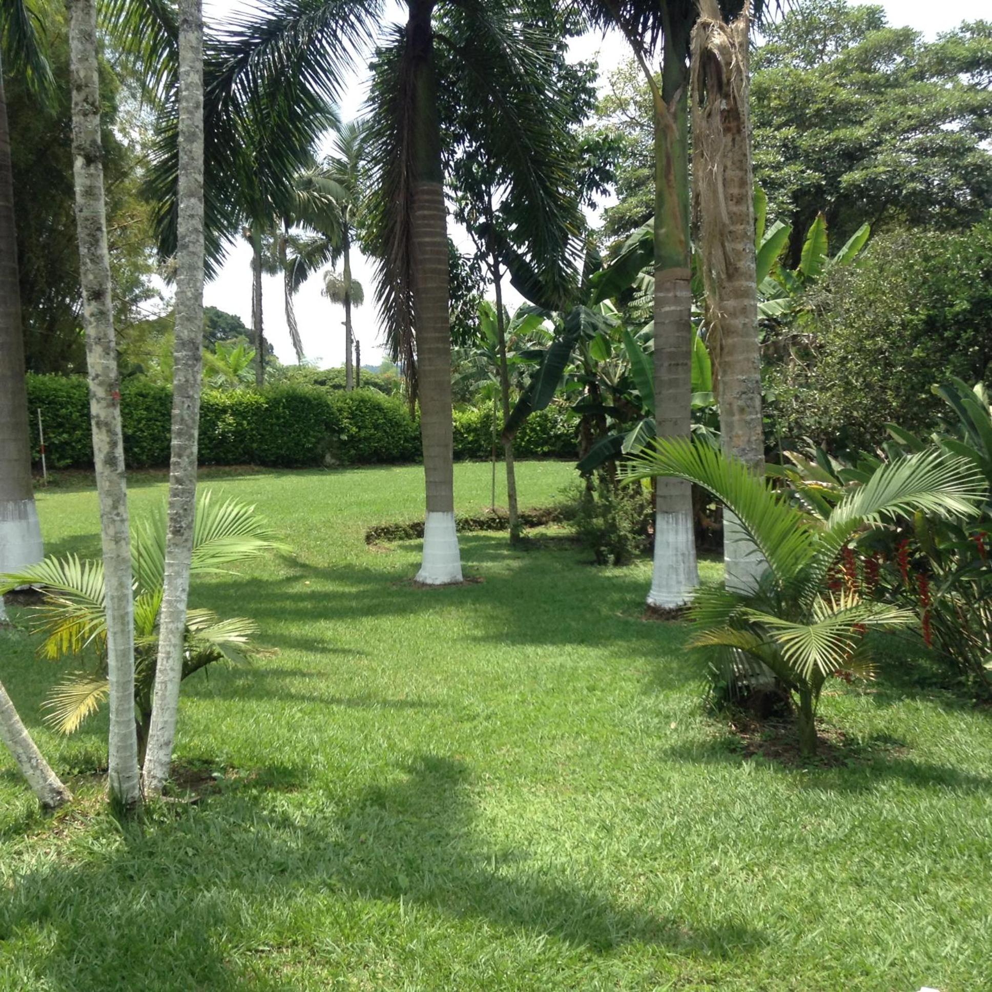 Finca El Sueño De Mi Abuelo