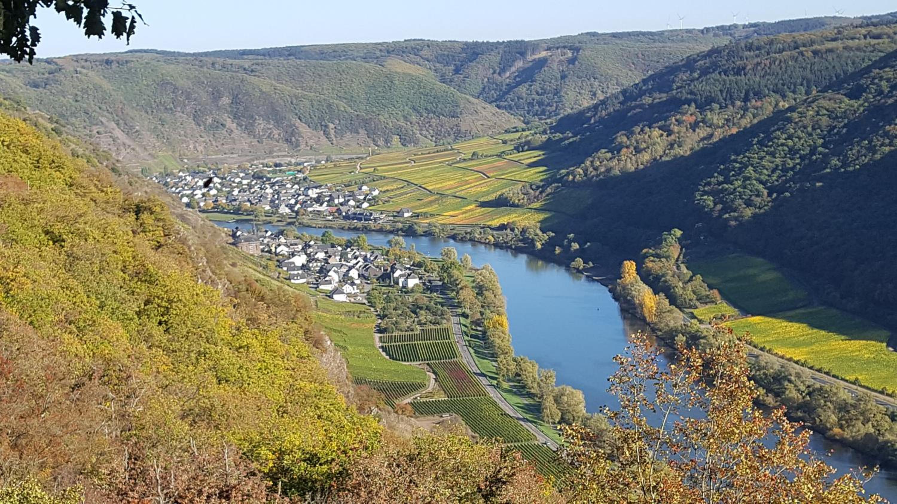 Ferienwohnung Schneemann view 4