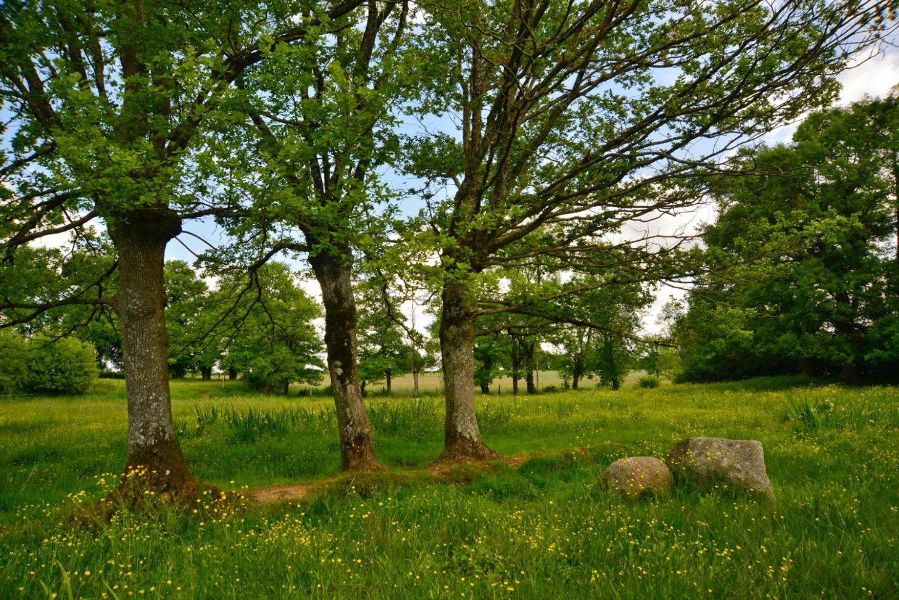 Photo 25