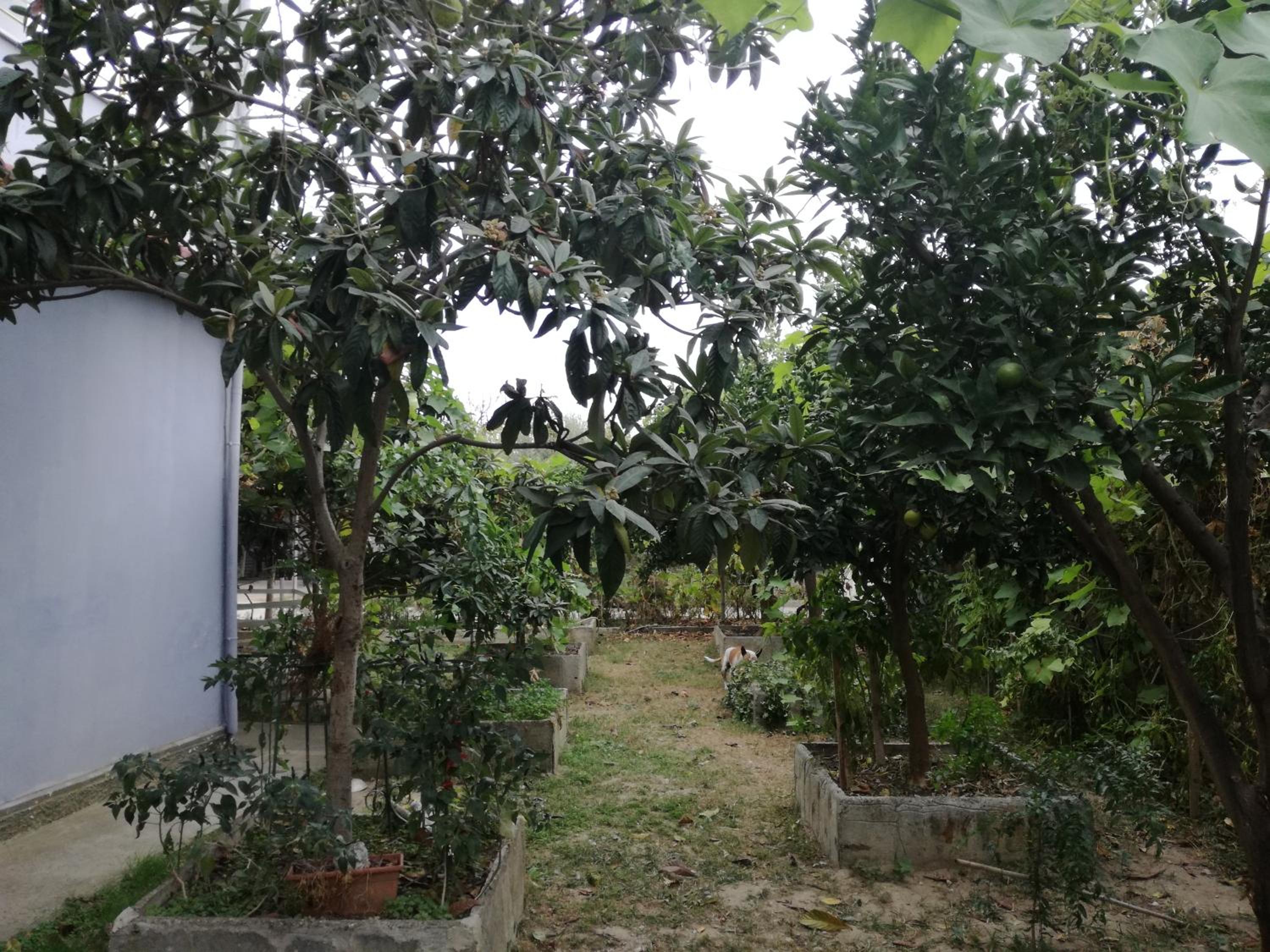 Villa Osmani