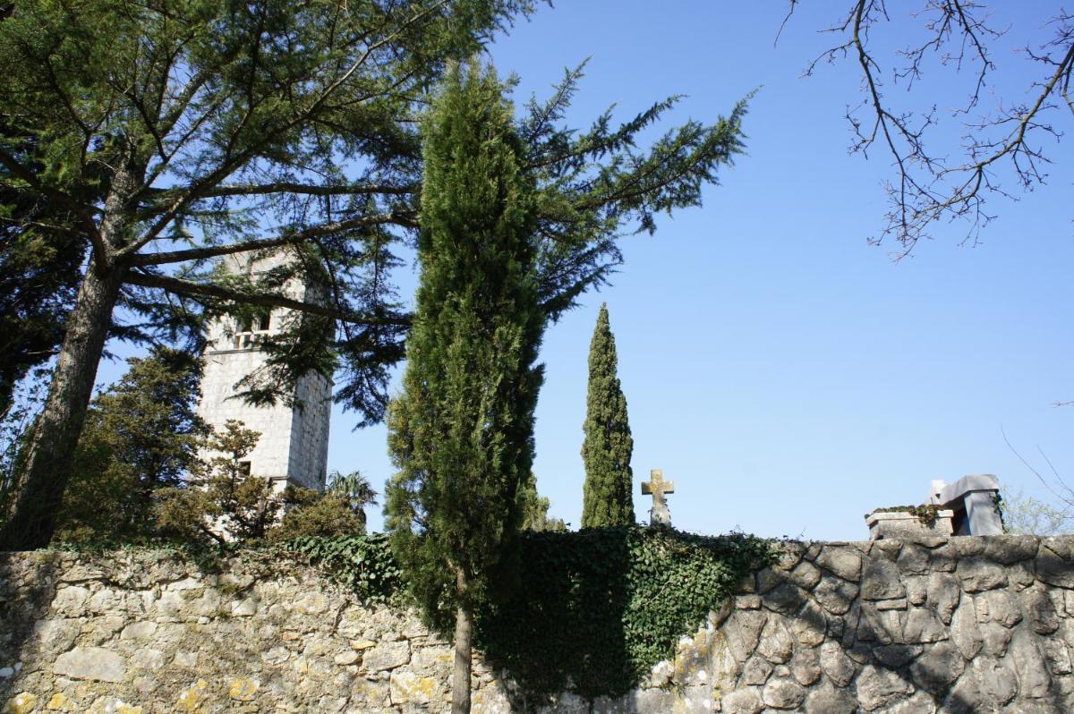 Photo 45