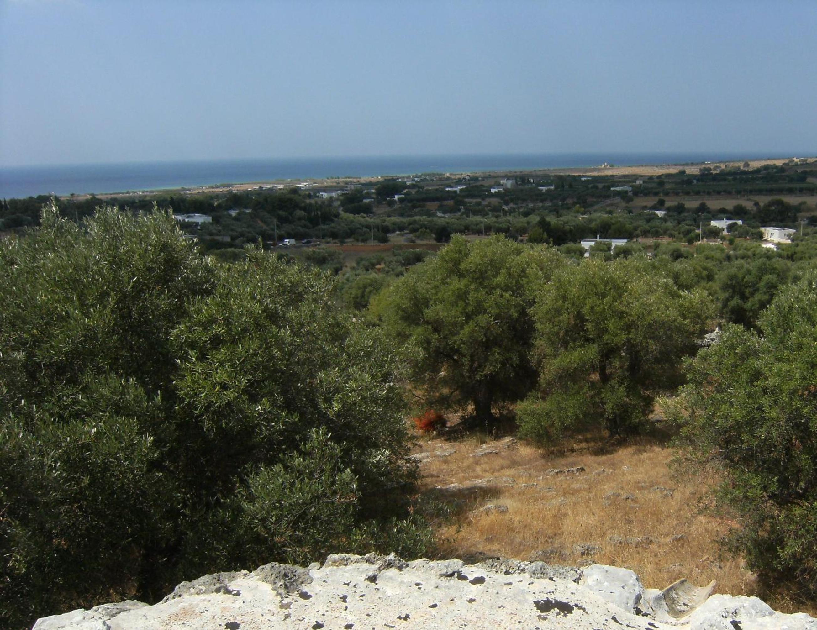Photo 34