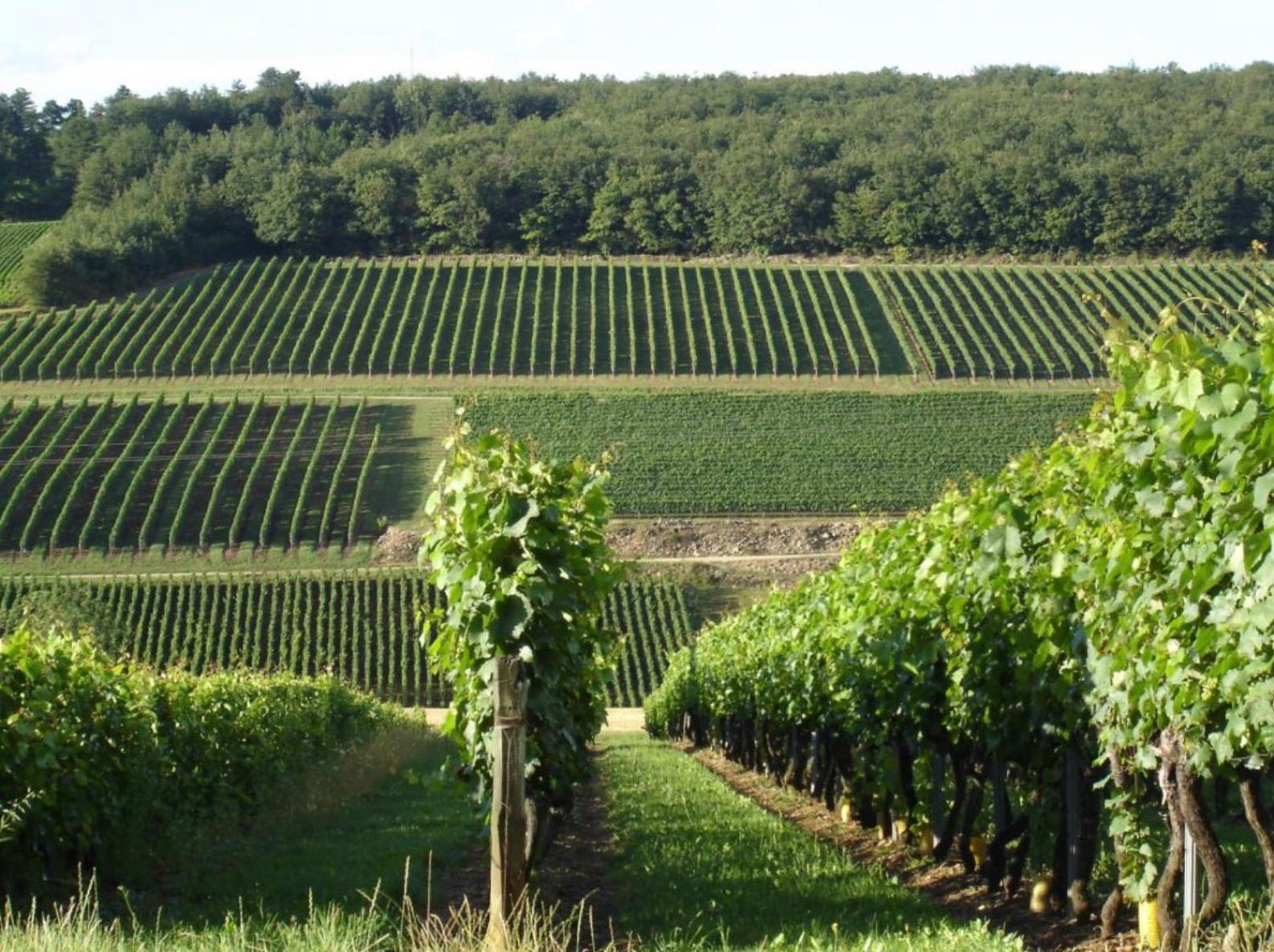 Douce Nuits, photo 24