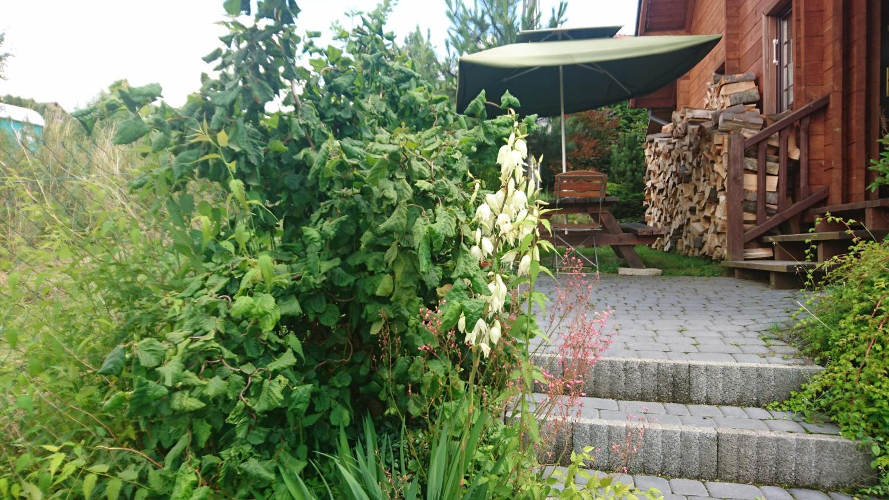 Photo 39