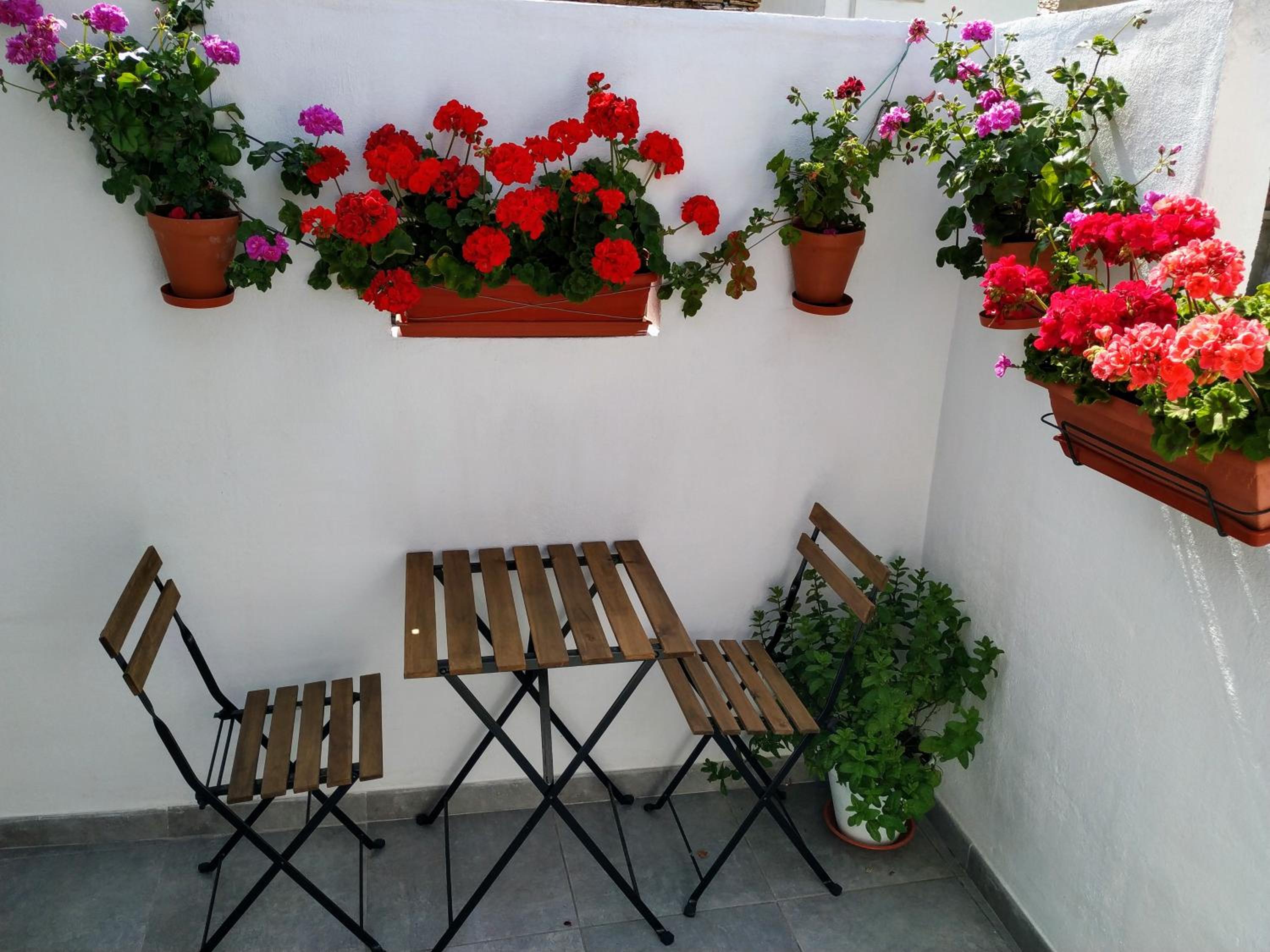 Apartamento entero "El Casco Antiguo" VT-46811-V