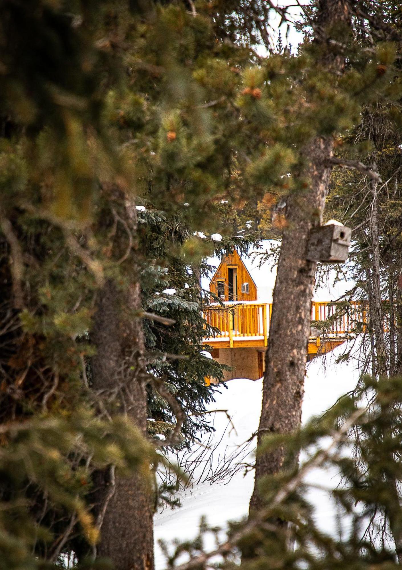 Mount Engadine Lodge