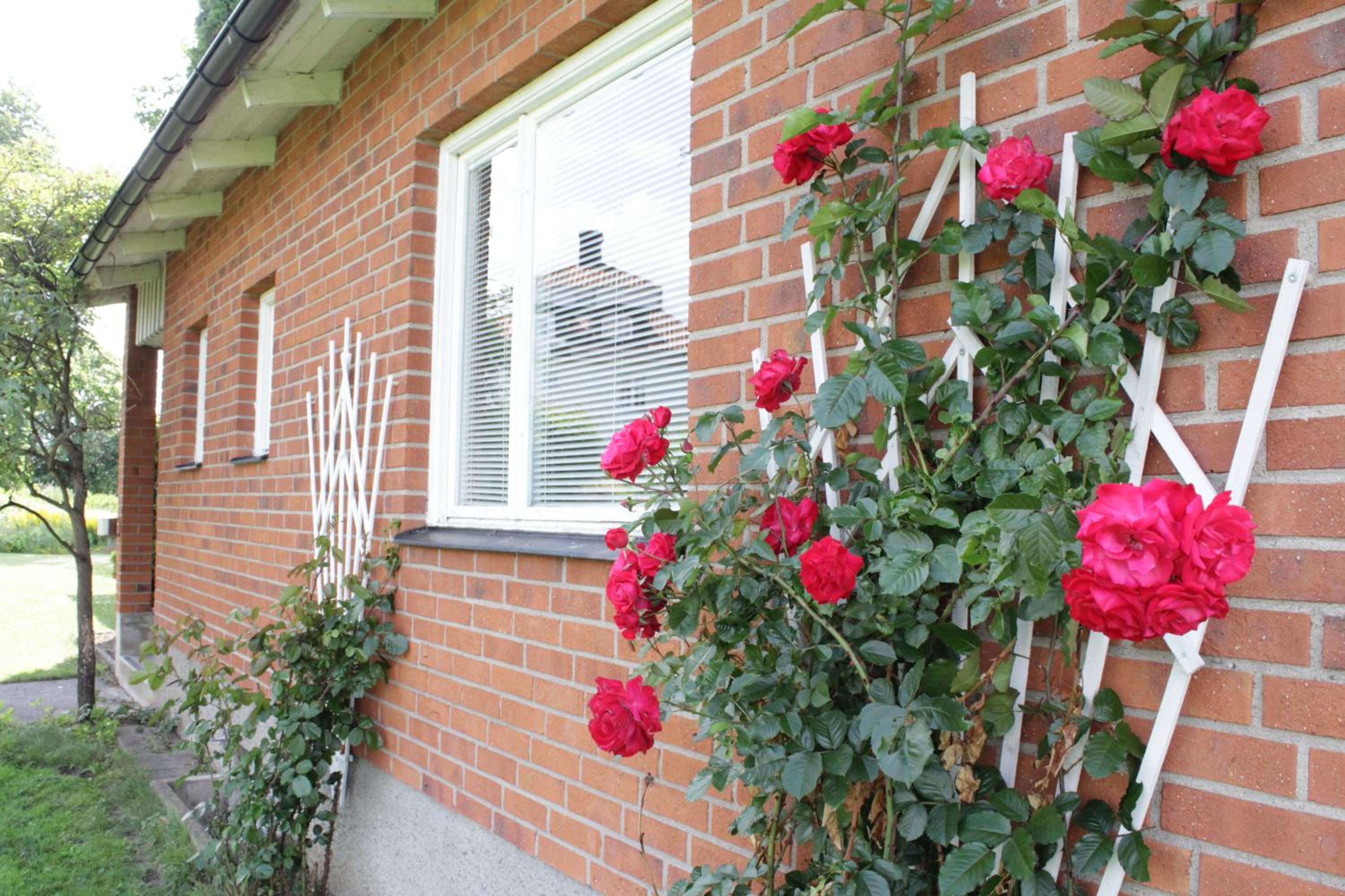 Photo 38