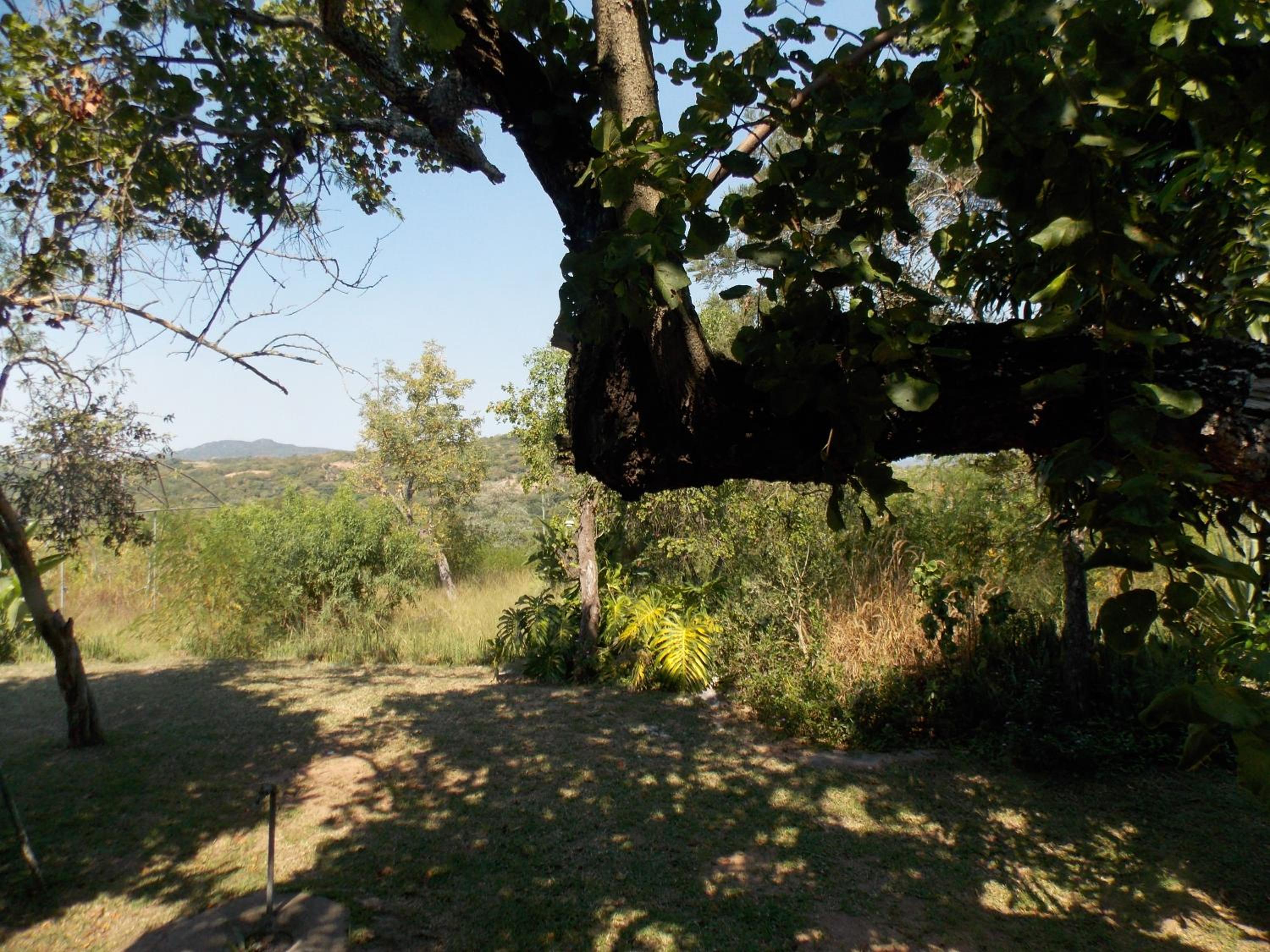 Photo 21