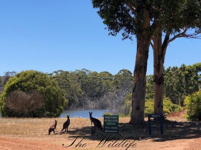 Harmony Forest Cottages & Lake side Lodge