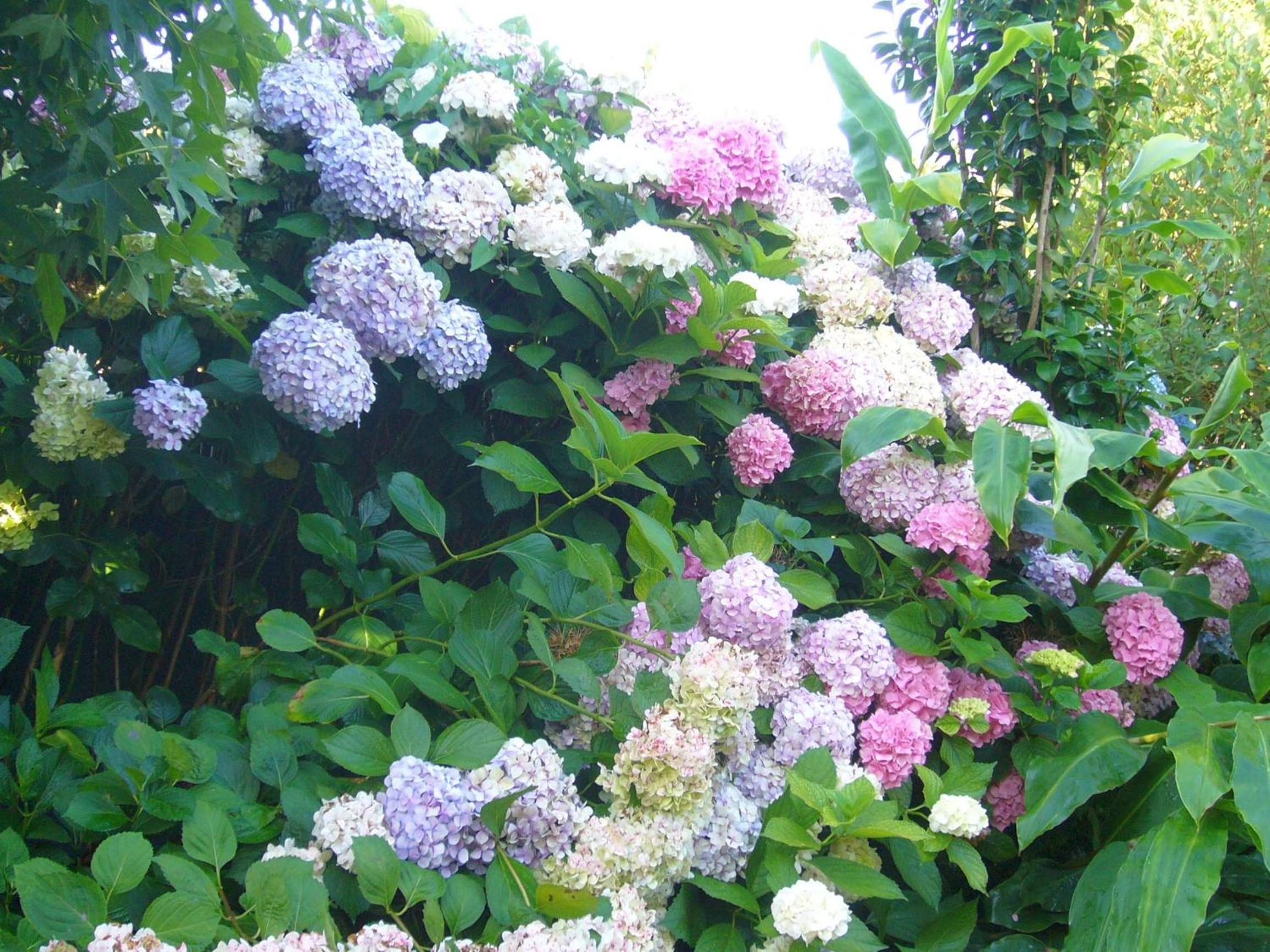 Photo 49