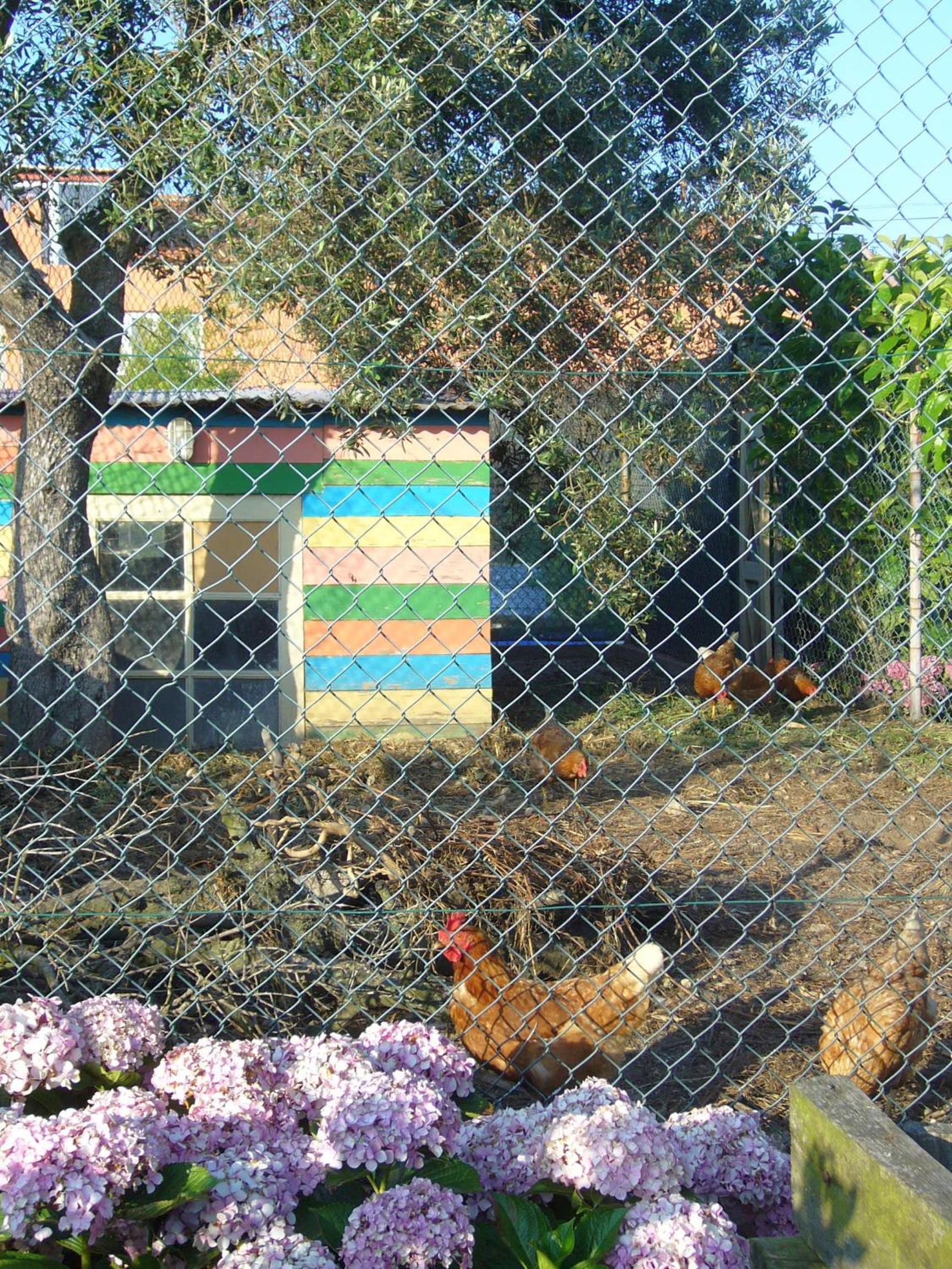 Photo 48