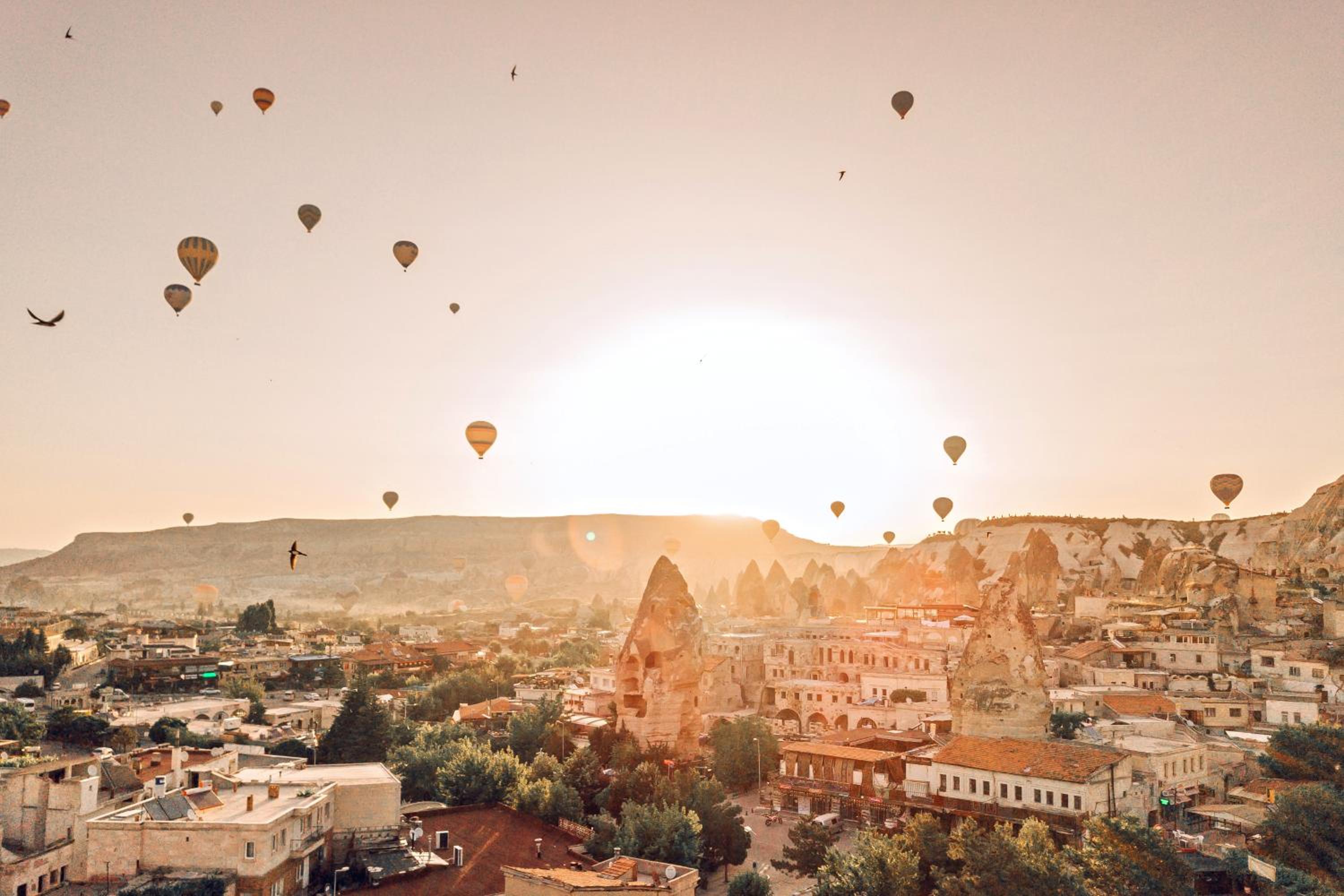 Kookaburra Hotel - Image 38