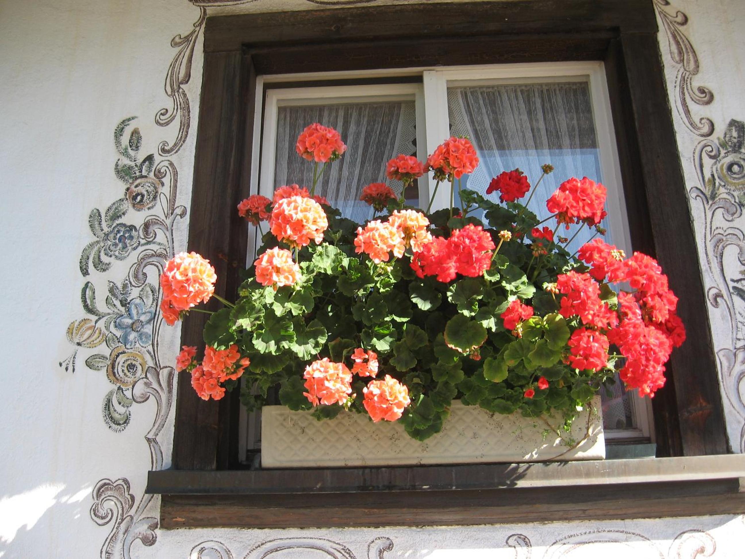 Pension Kaiserhaus view 2