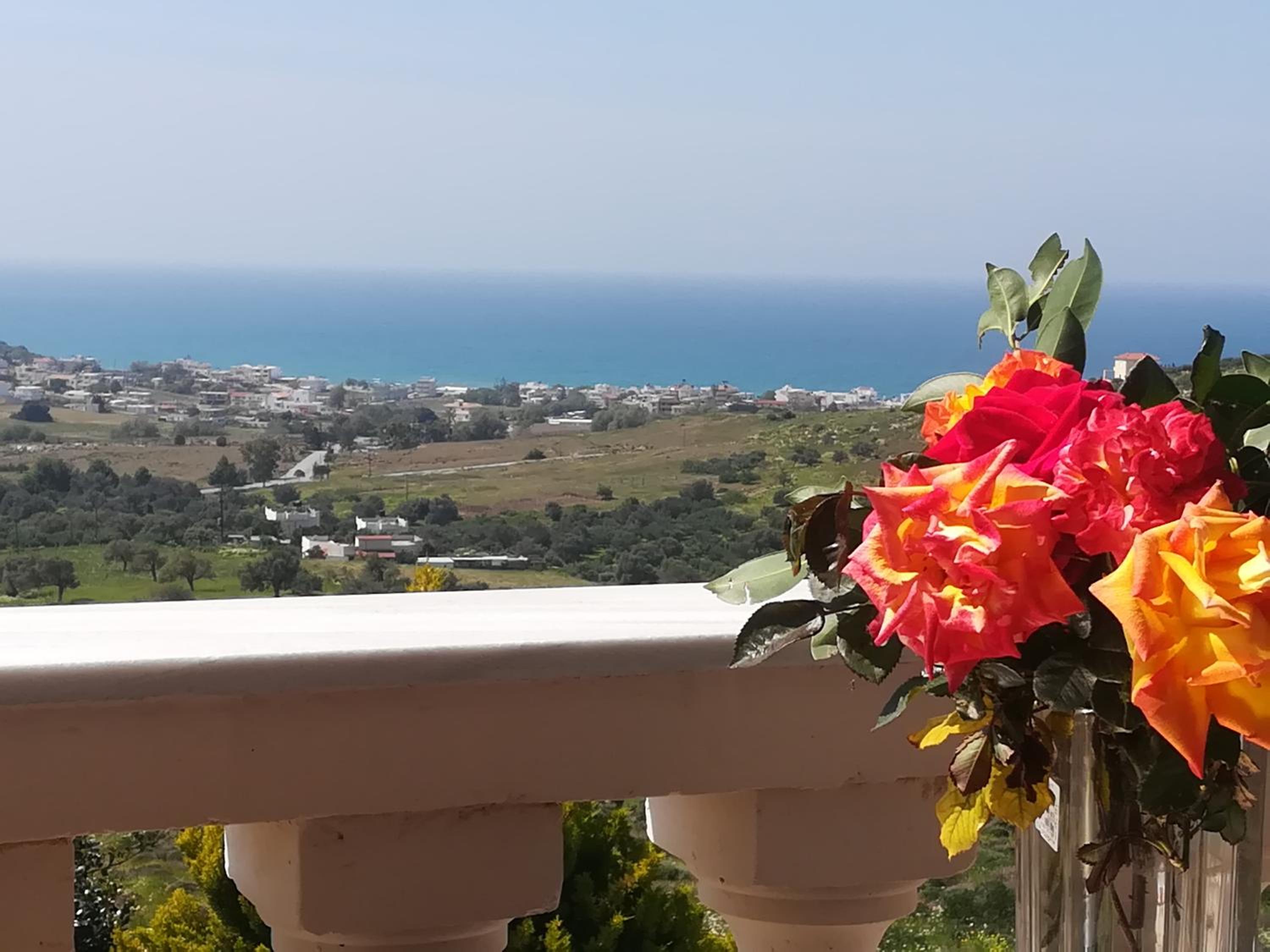 Odisseas Apartment view 5