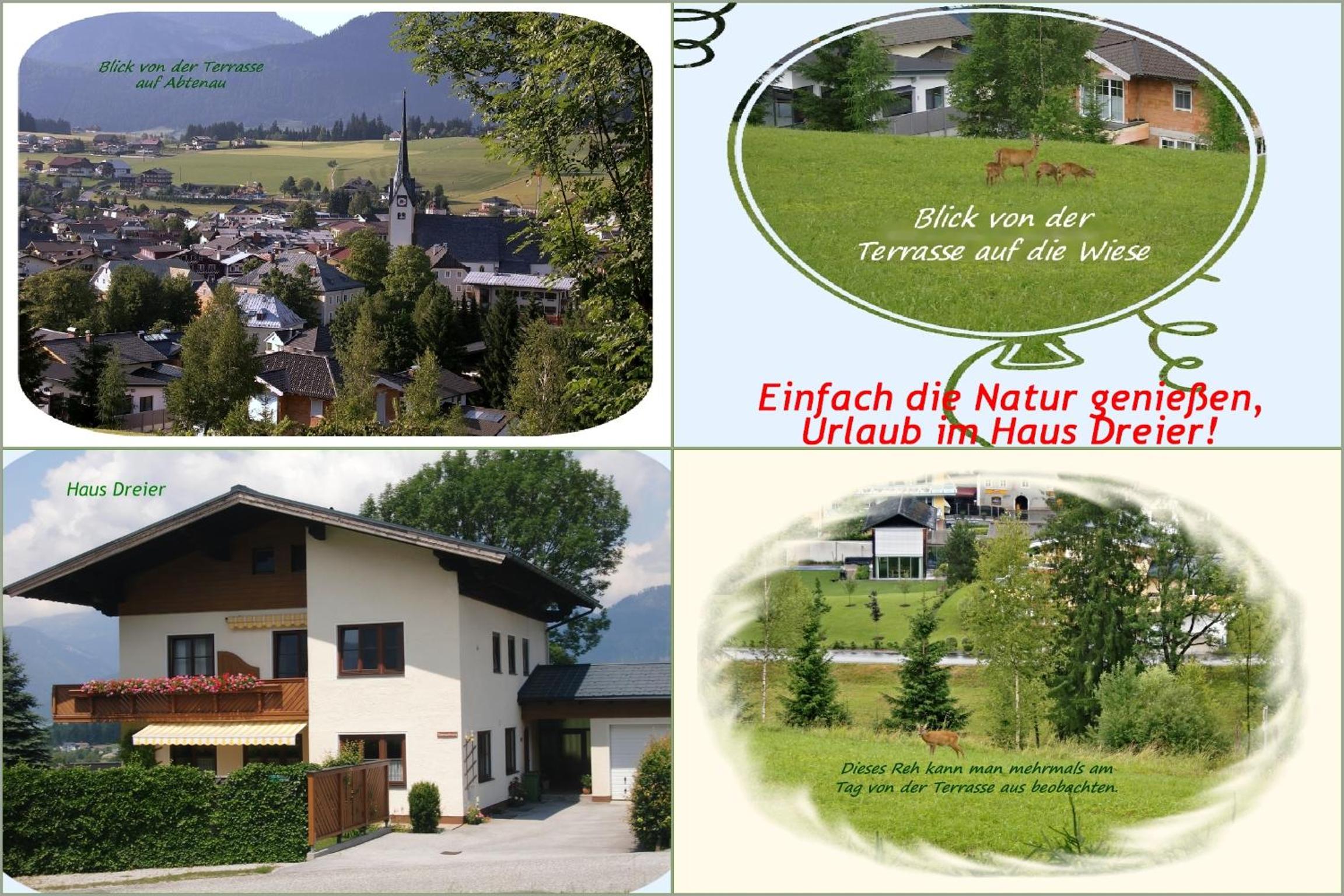Apartment Dreier - Salzburger Land