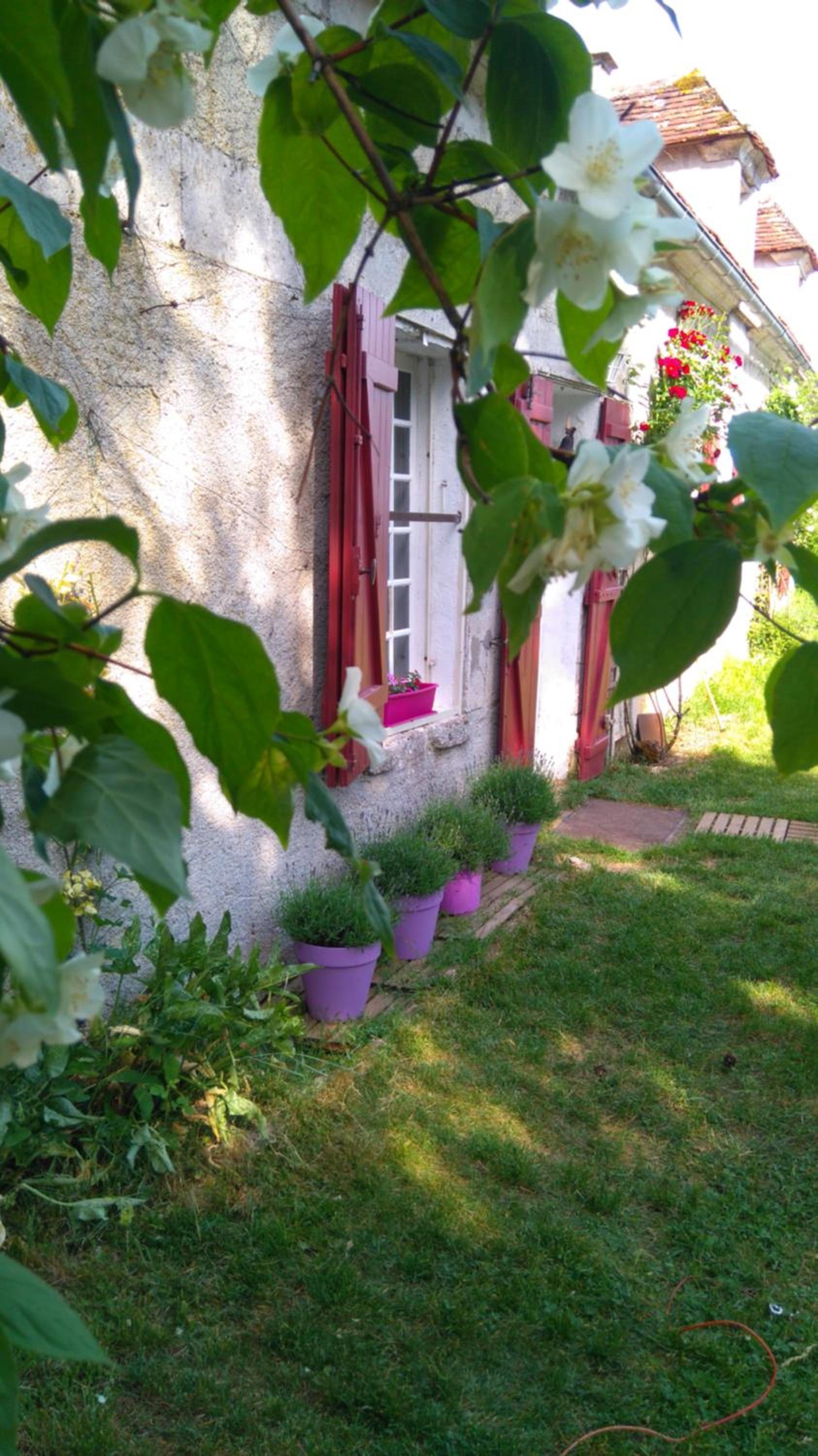 Le vol du Papillon view 3