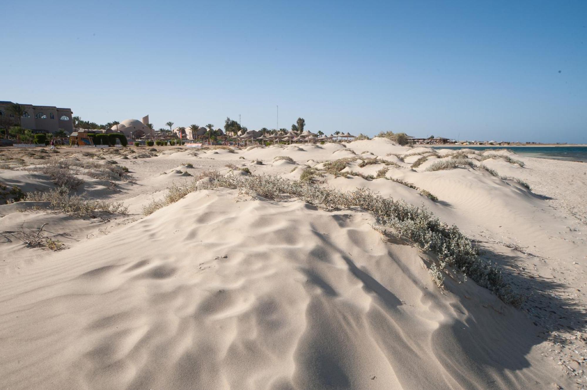 Shams Alam Beach Resort — photo 98