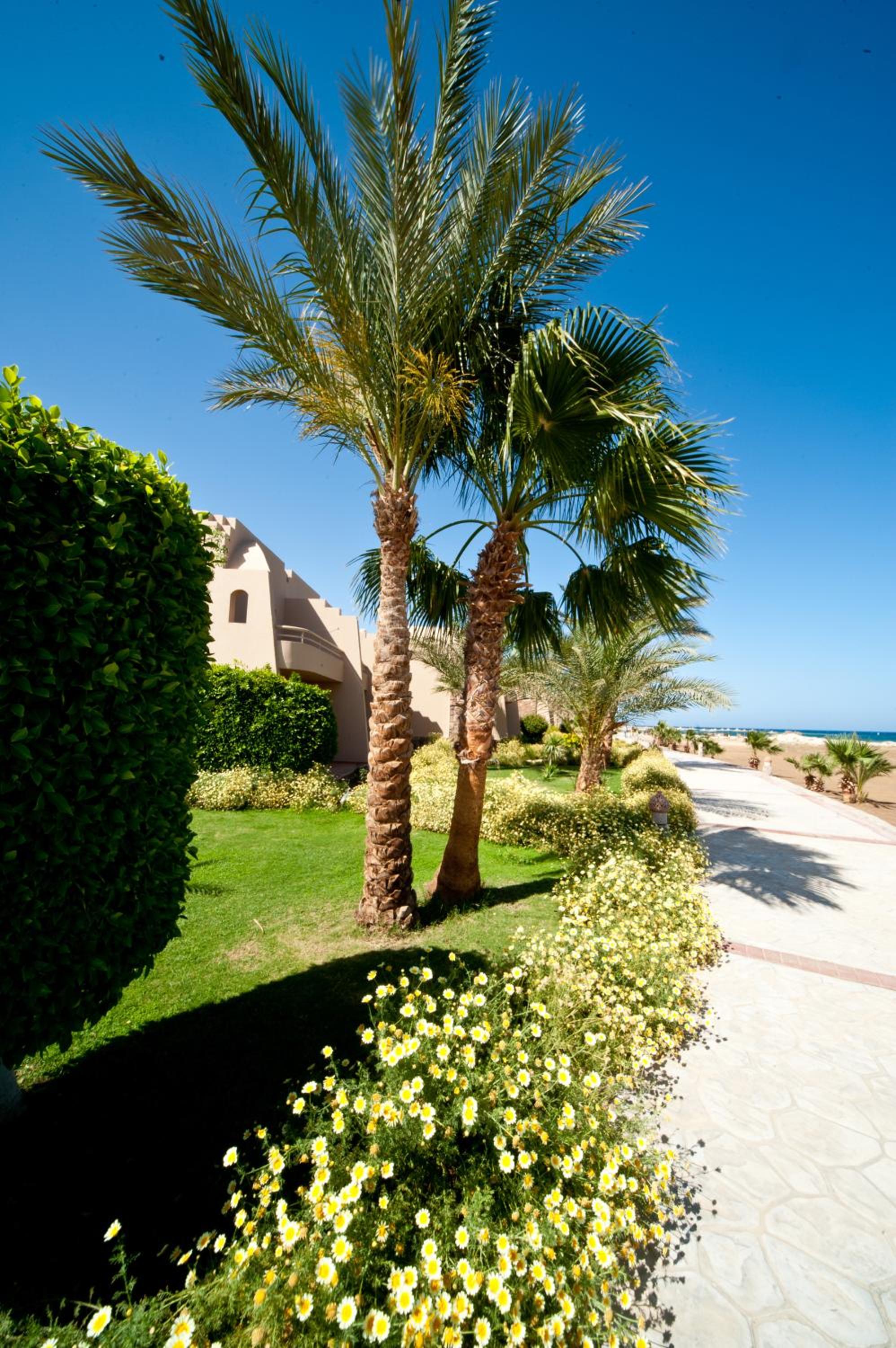 Shams Alam Beach Resort