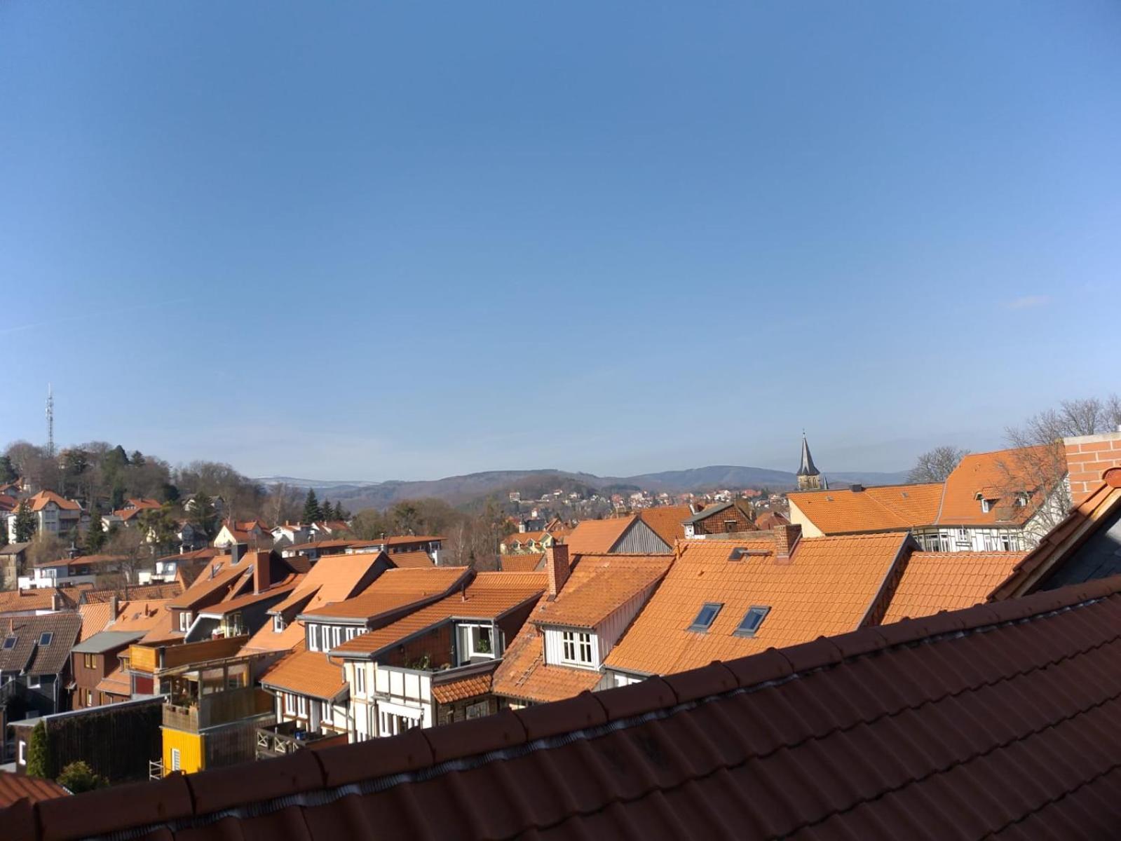 Fewo kleine Oase view 5
