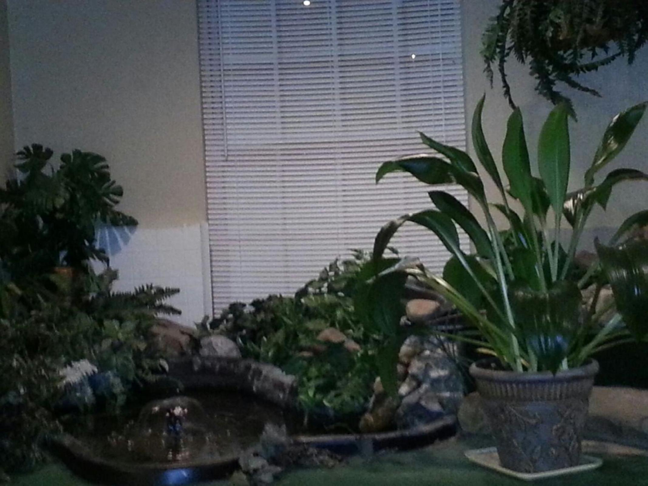 Photo 53