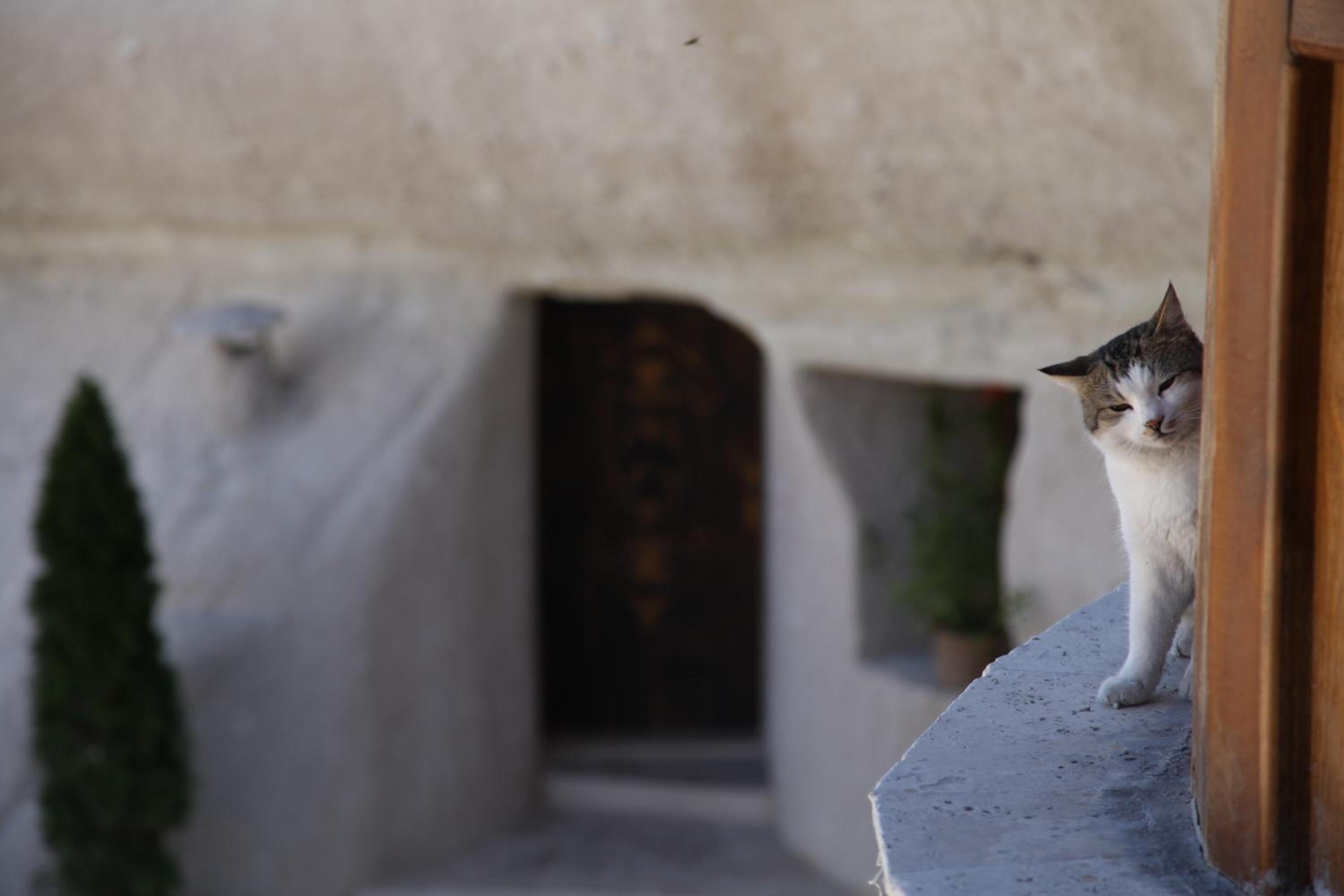 Grand Cave Suites - Image 42