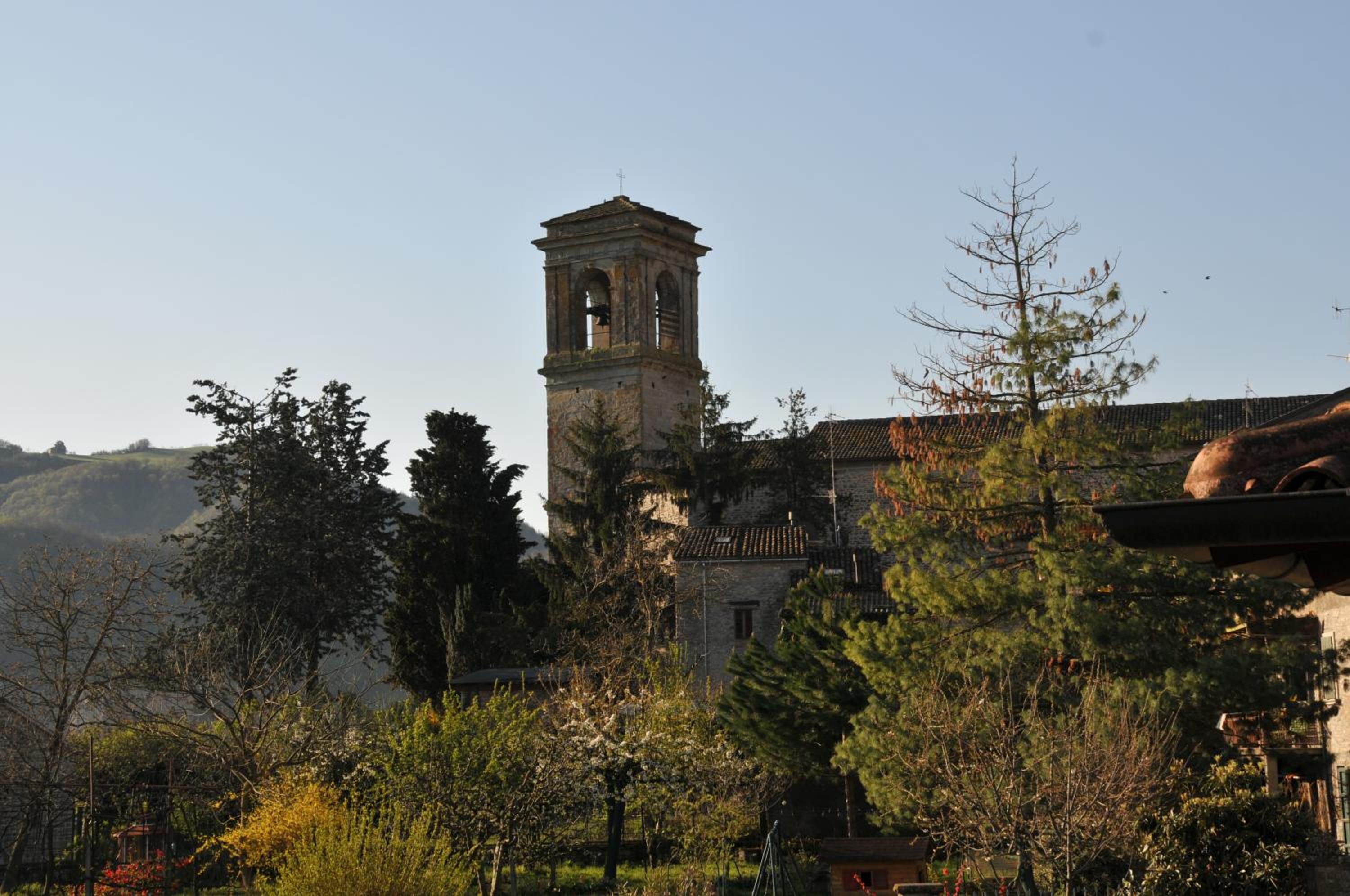 Photo 41