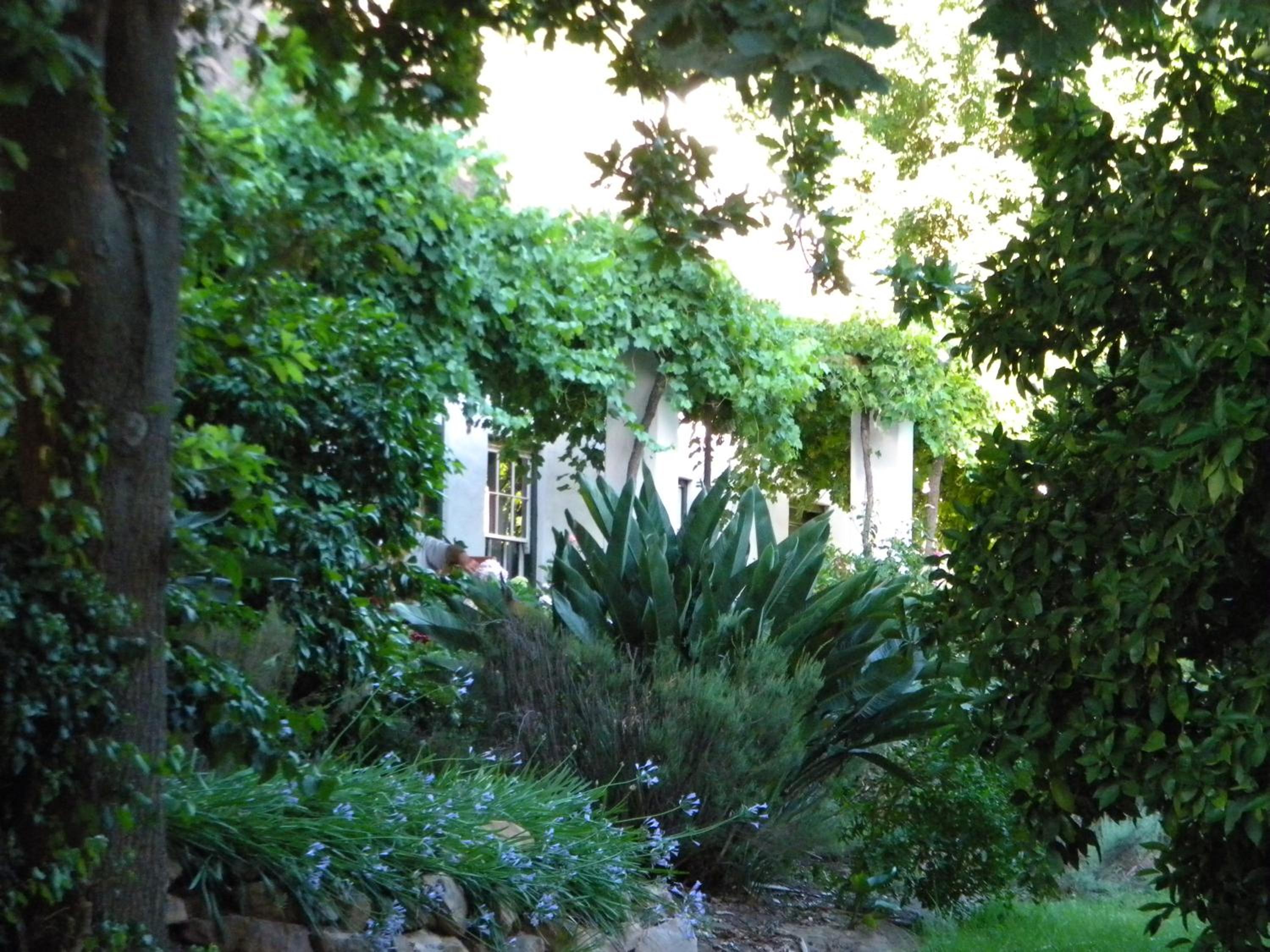 Photo 8