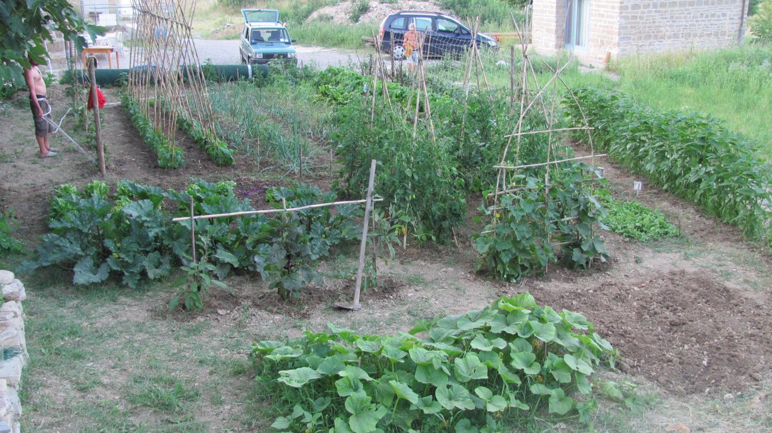 Photo 35