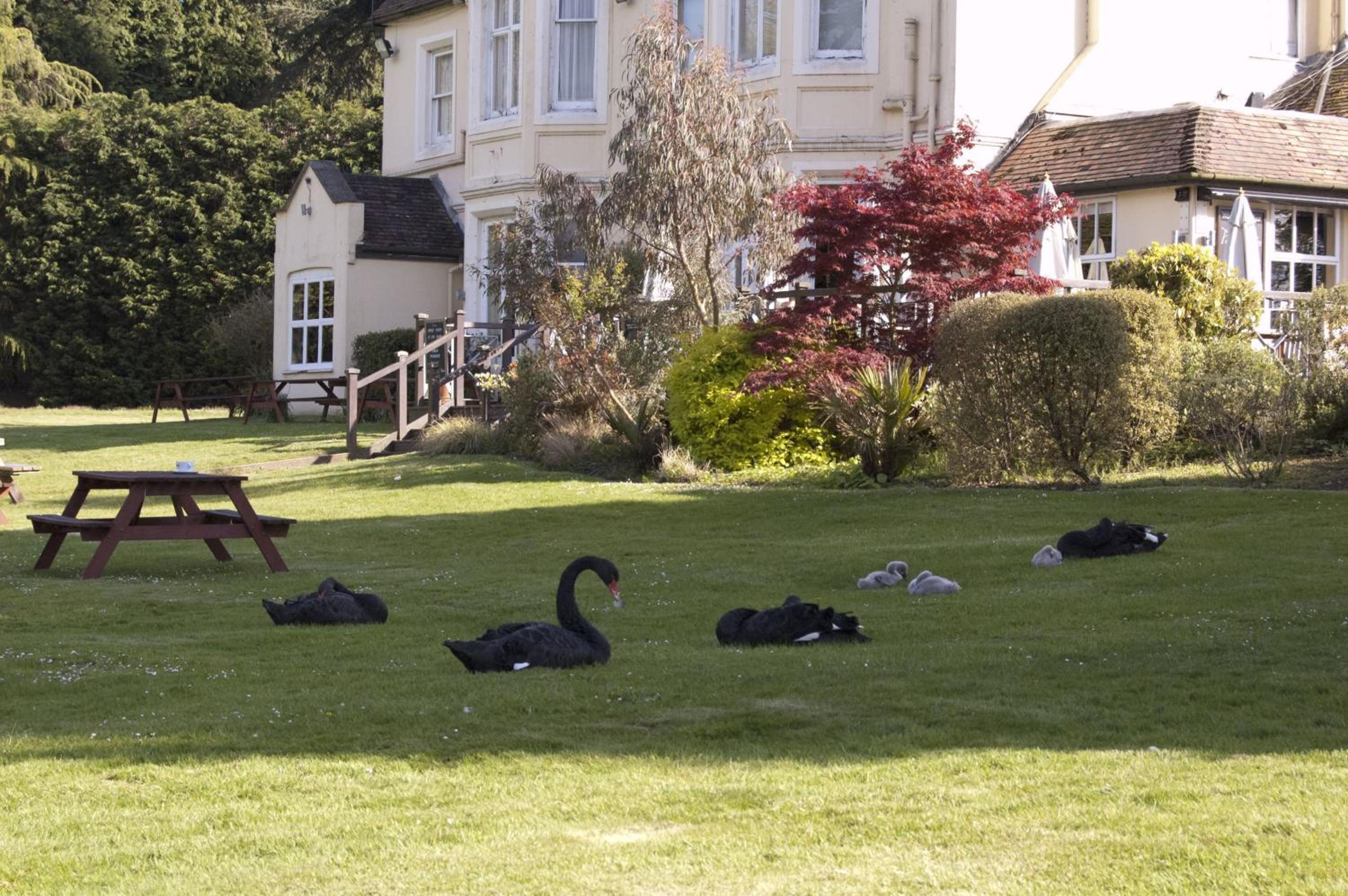 Guildford Vacations - Worplesdon Place Hotel - Property Image 11