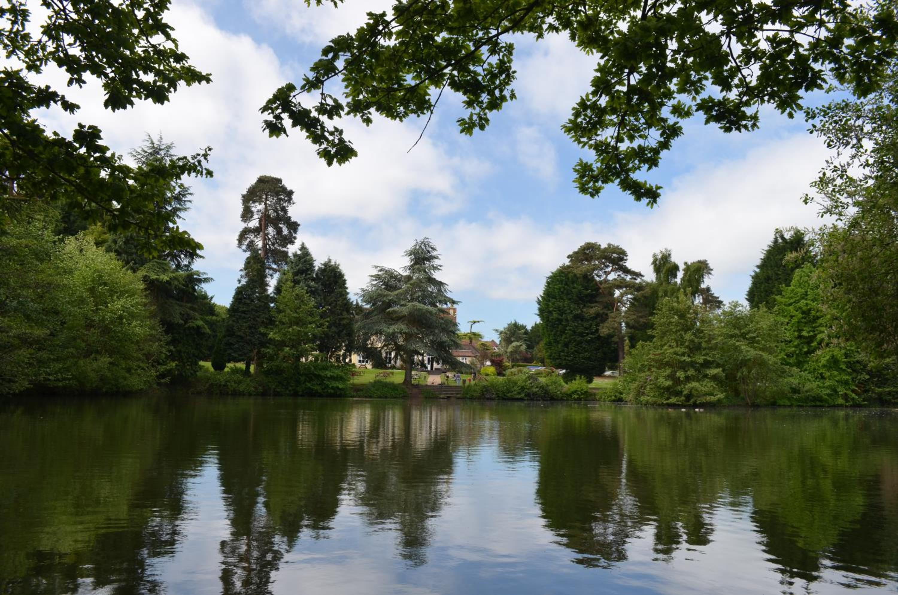 Guildford Vacations - Worplesdon Place Hotel - Property Image 38