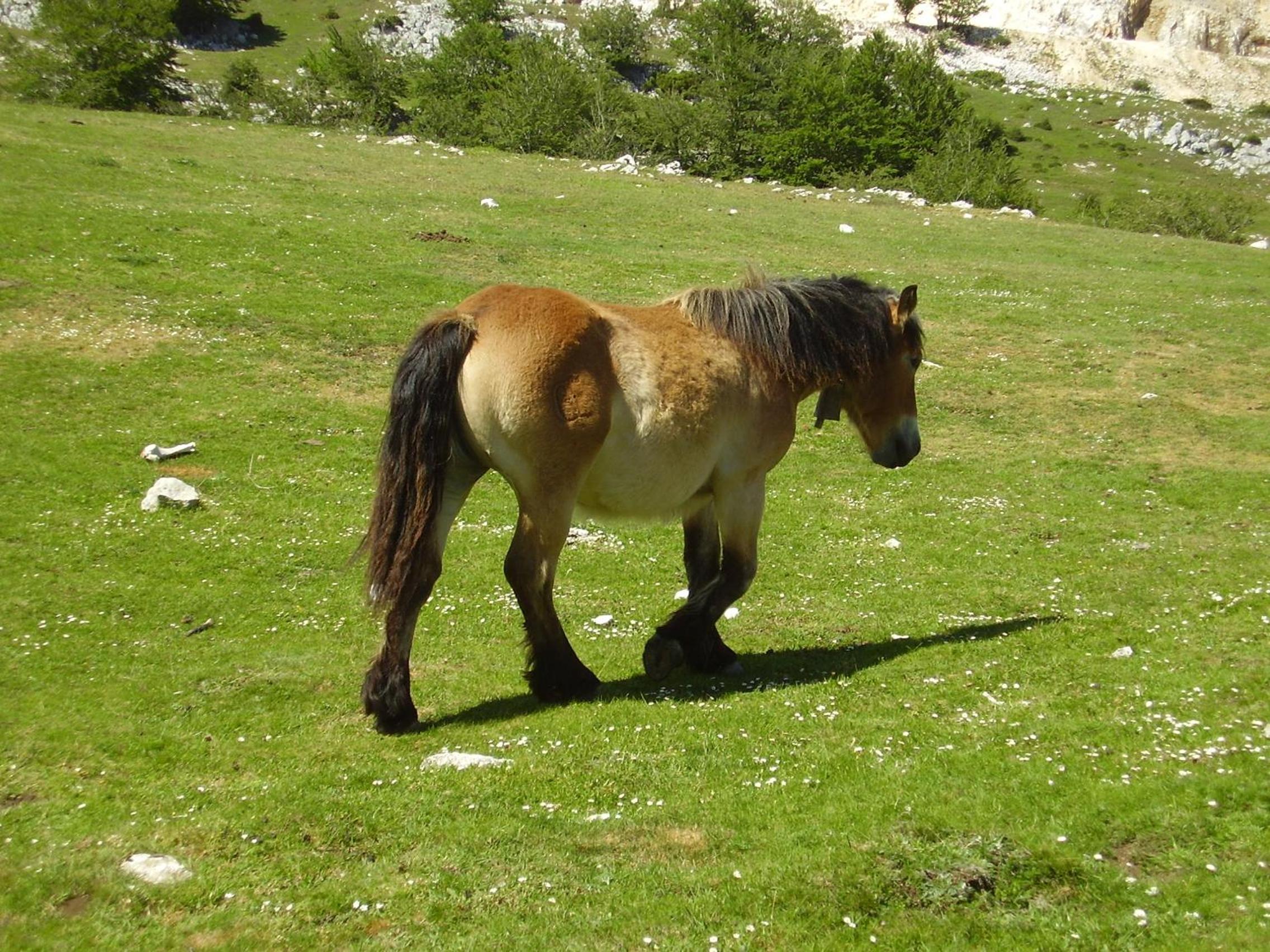 Photo 49
