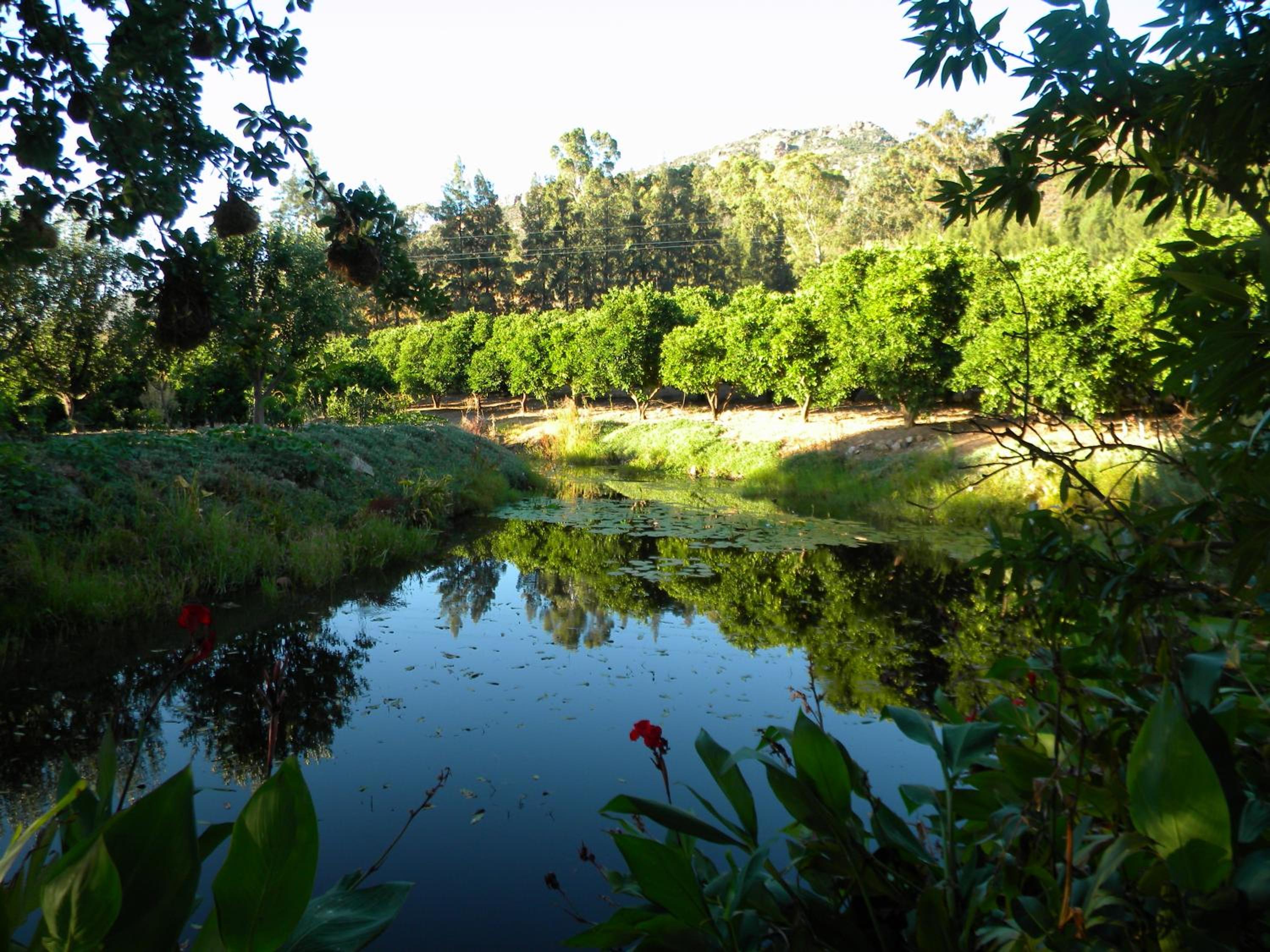 Klein Boschkloof view 5