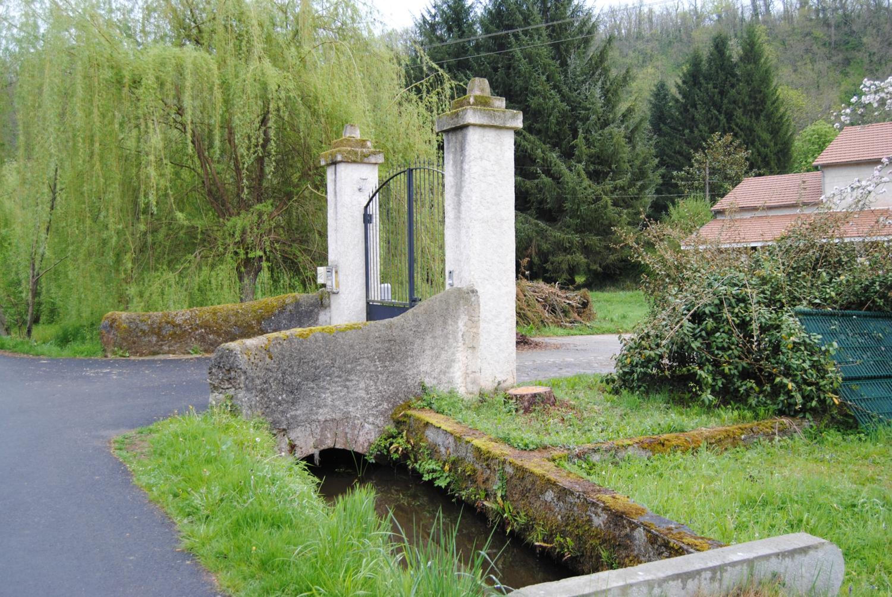 Photo 6