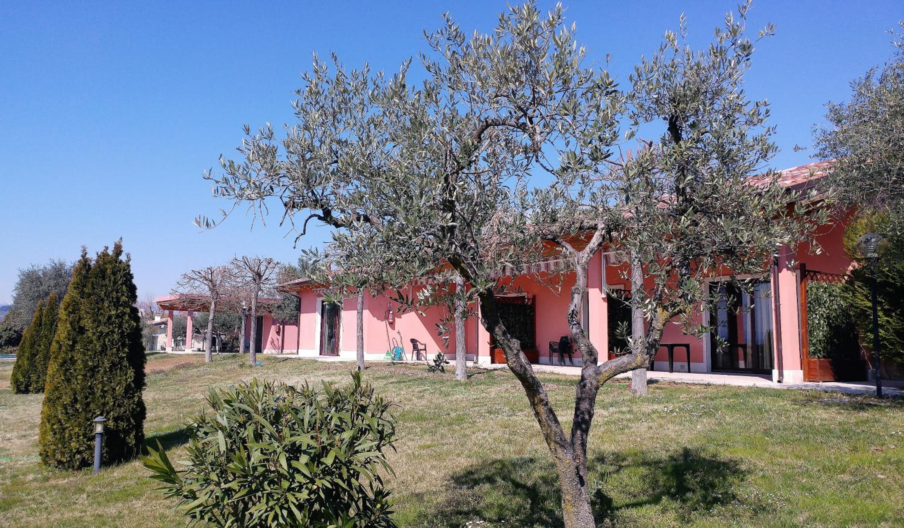 Photo 23