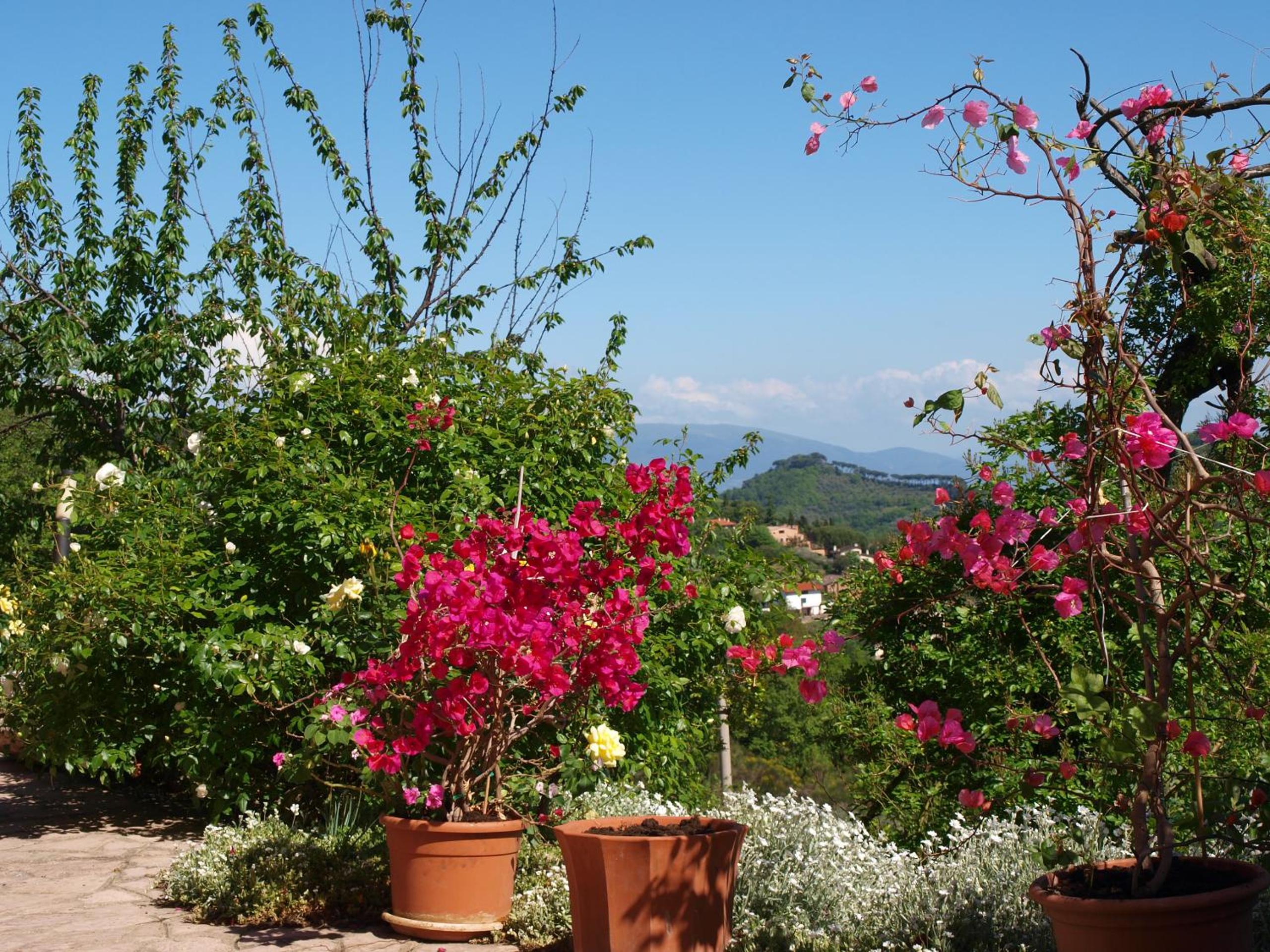 C'era Una Volta B&B