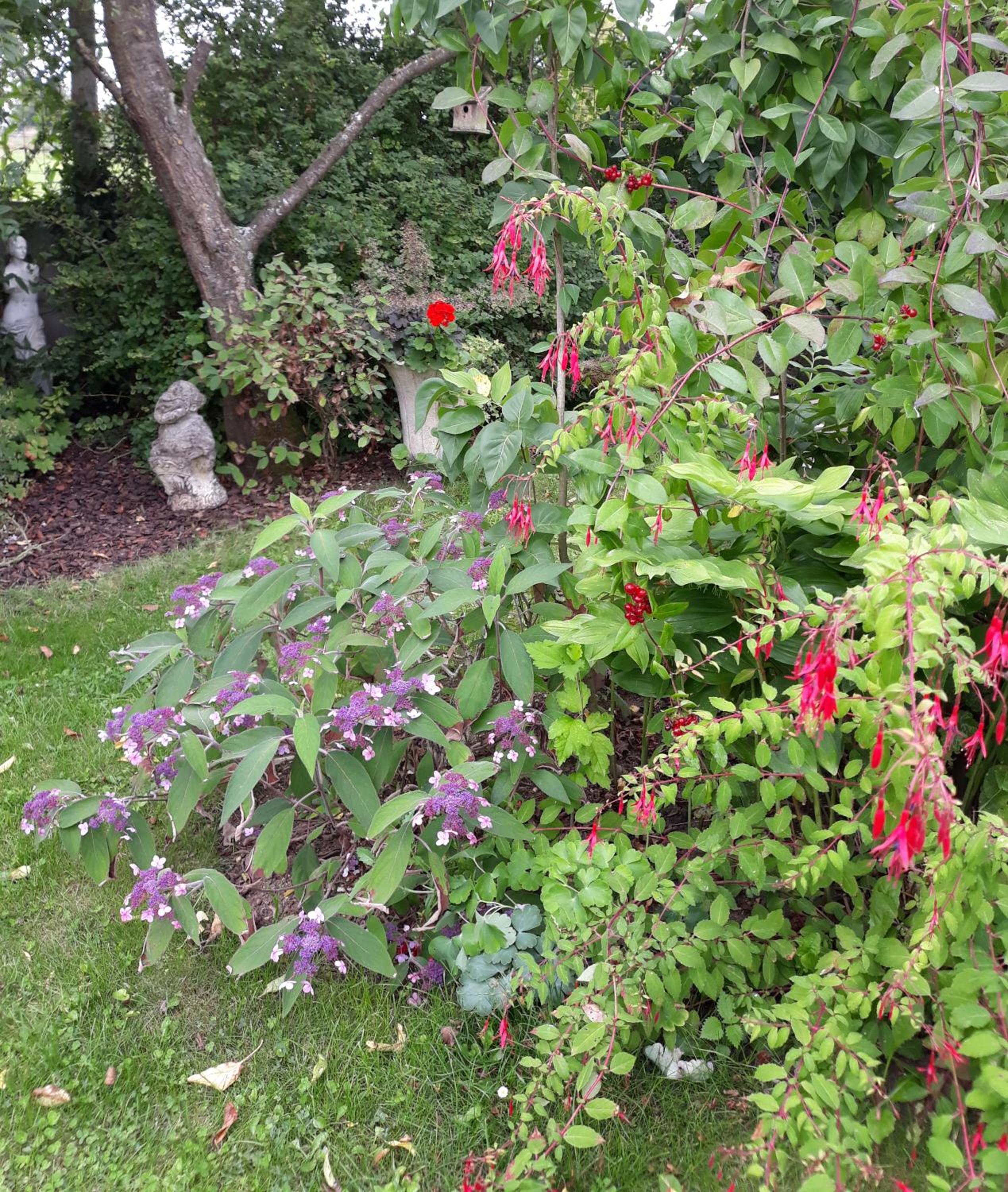 Photo 15
