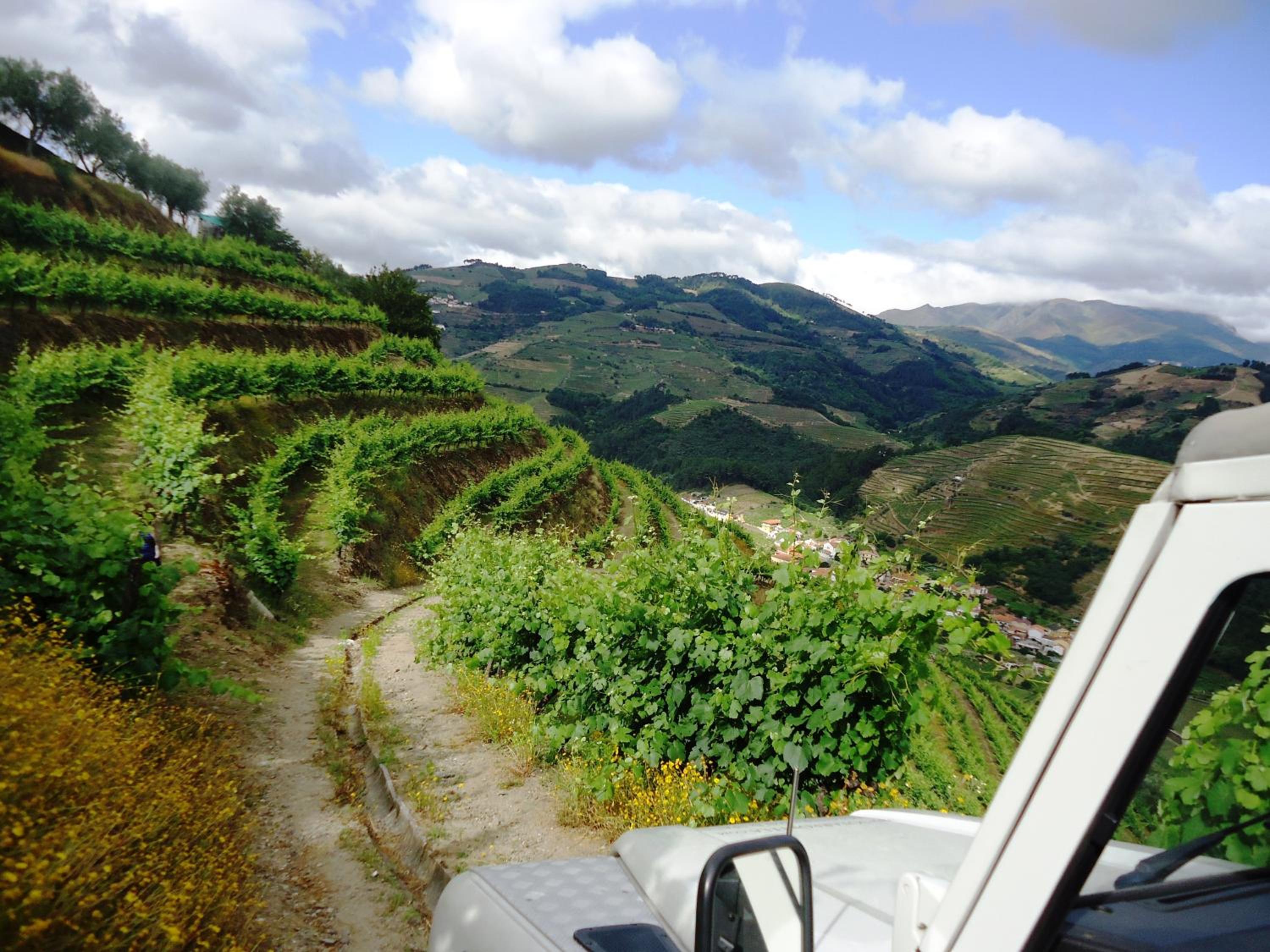 Solar Quinta da Portela - Douro